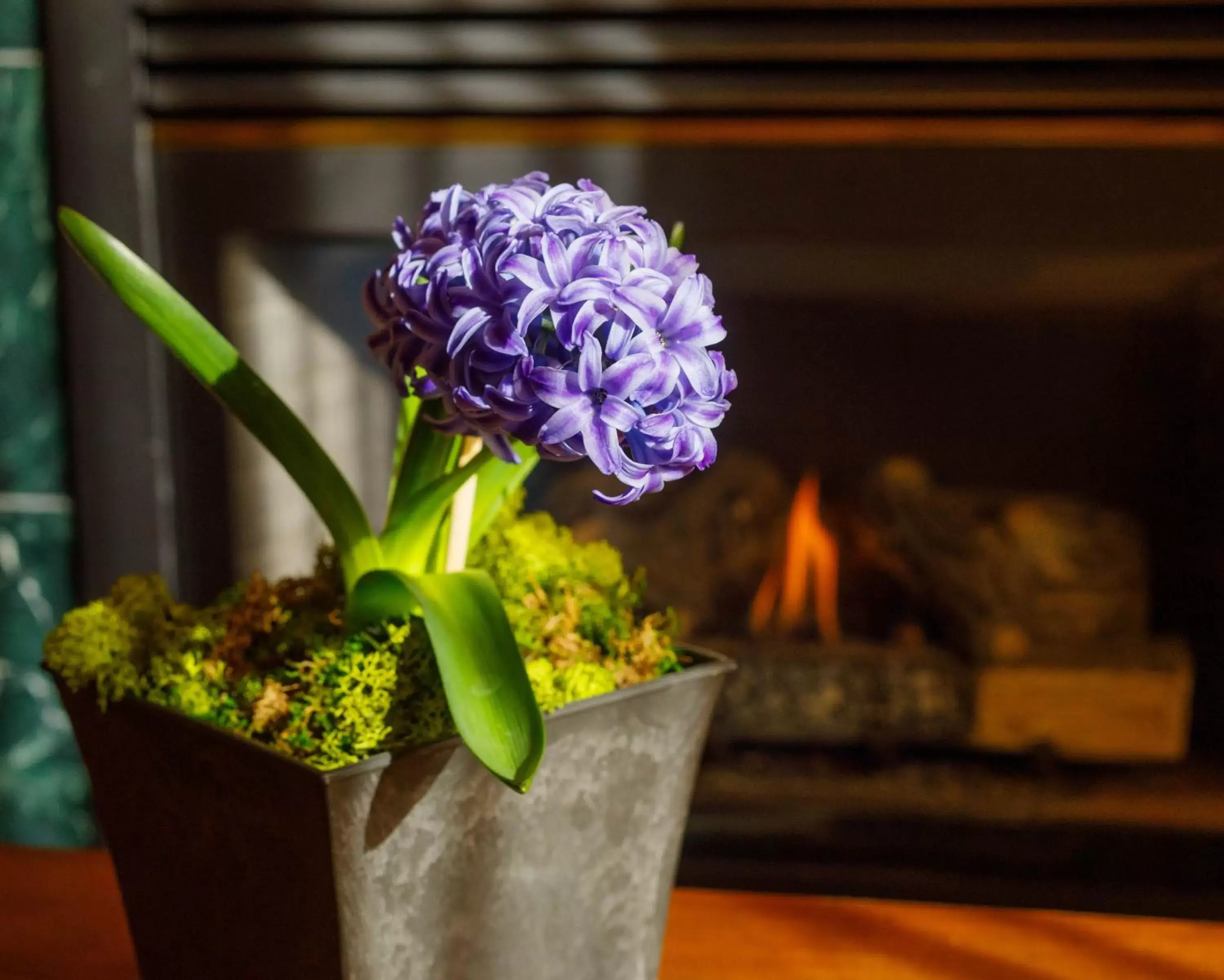 Decorative detail in 49'er Inn & Suites