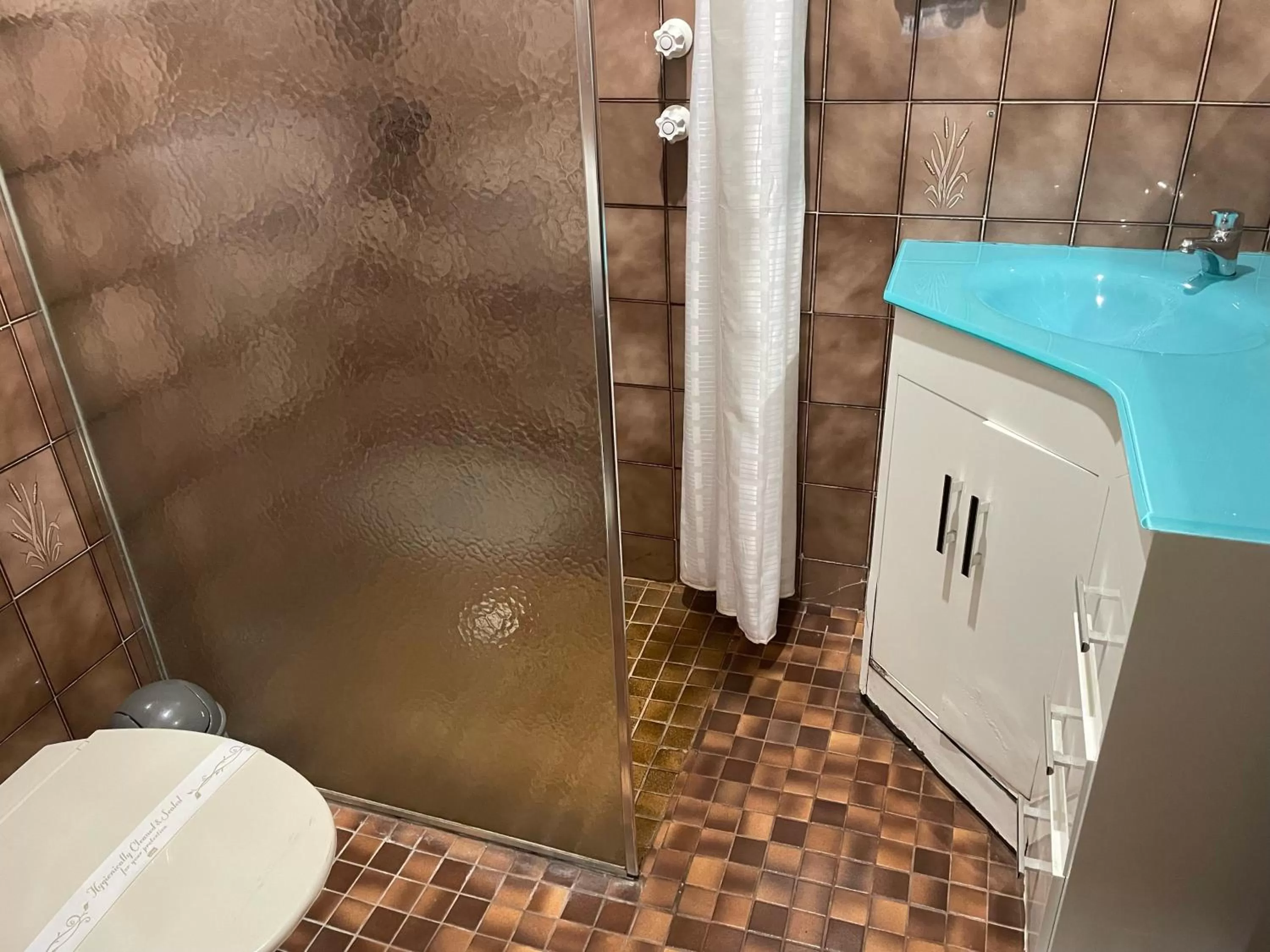 Shower in Pavlos Motel