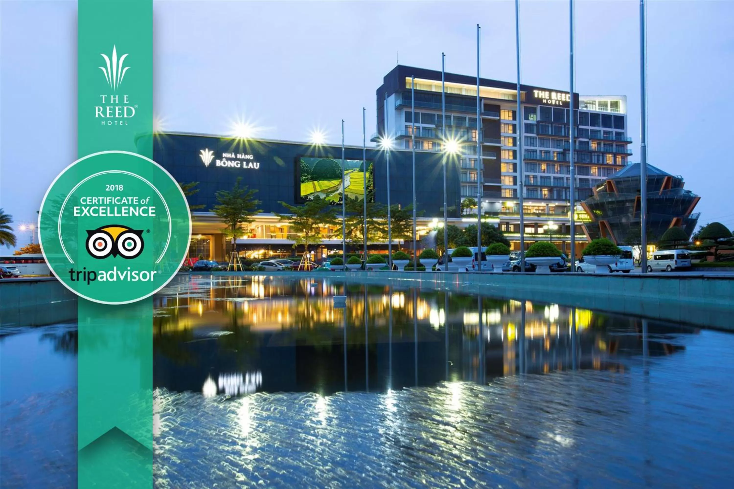 Certificate/Award in The Reed Hotel