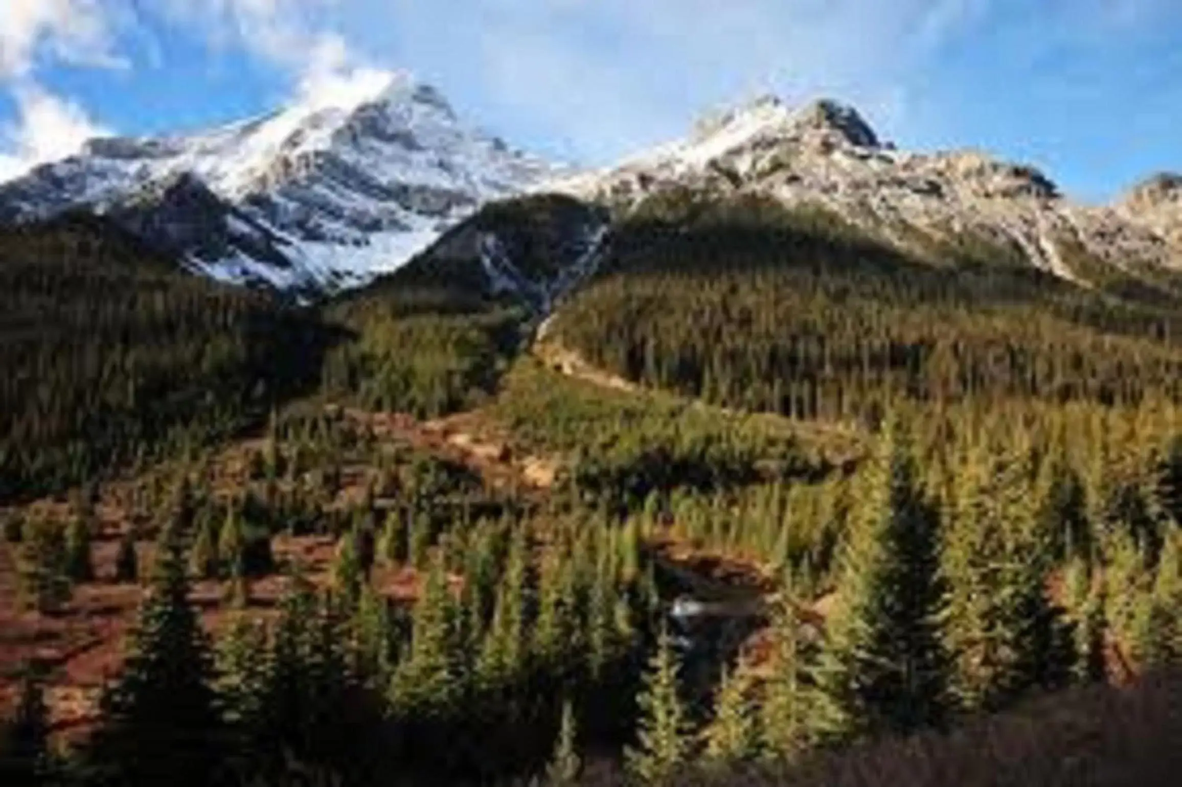 Skiing, Natural Landscape in Hotel Ruidoso