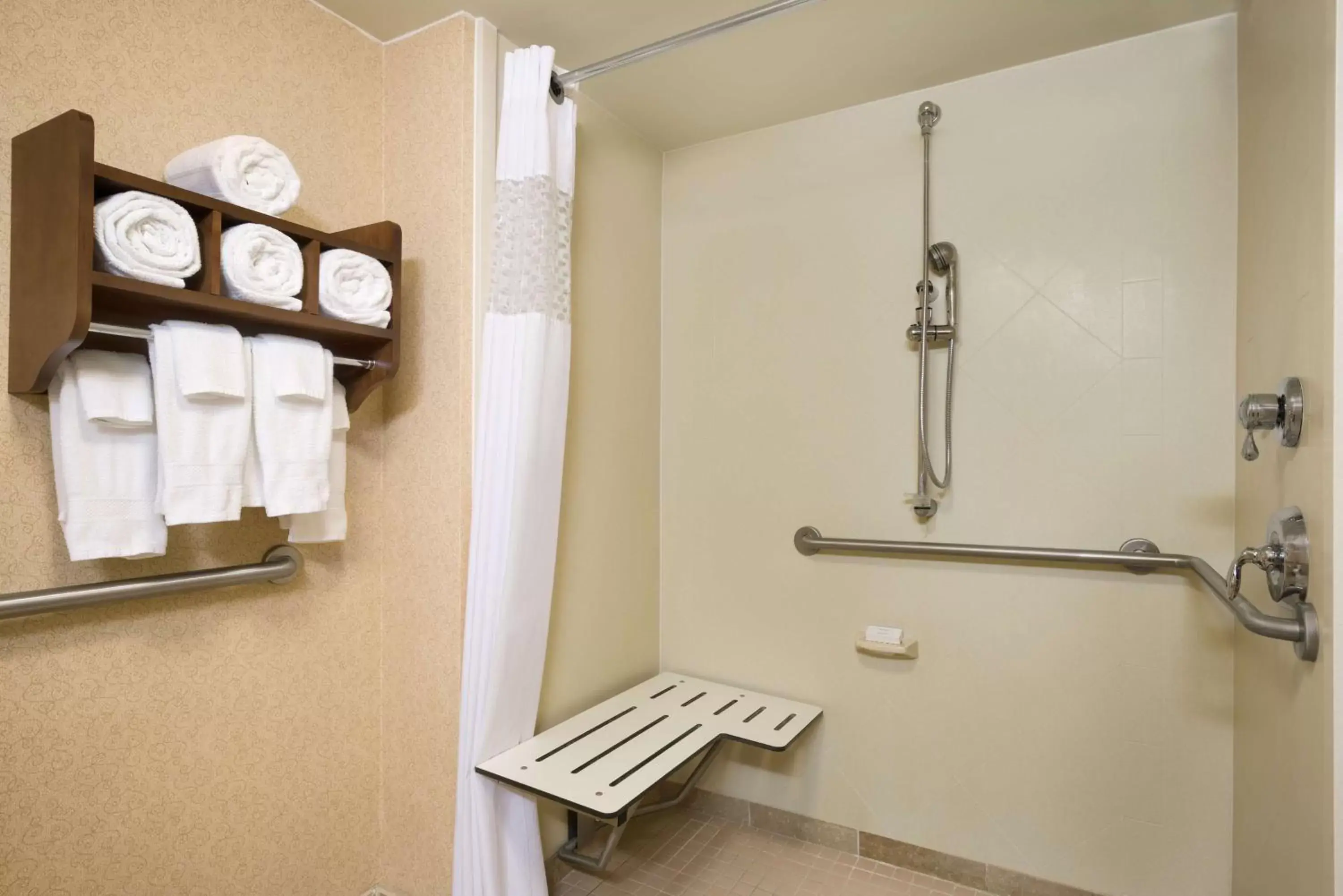 Bathroom in Hampton Inn & Suites Williamsburg-Central