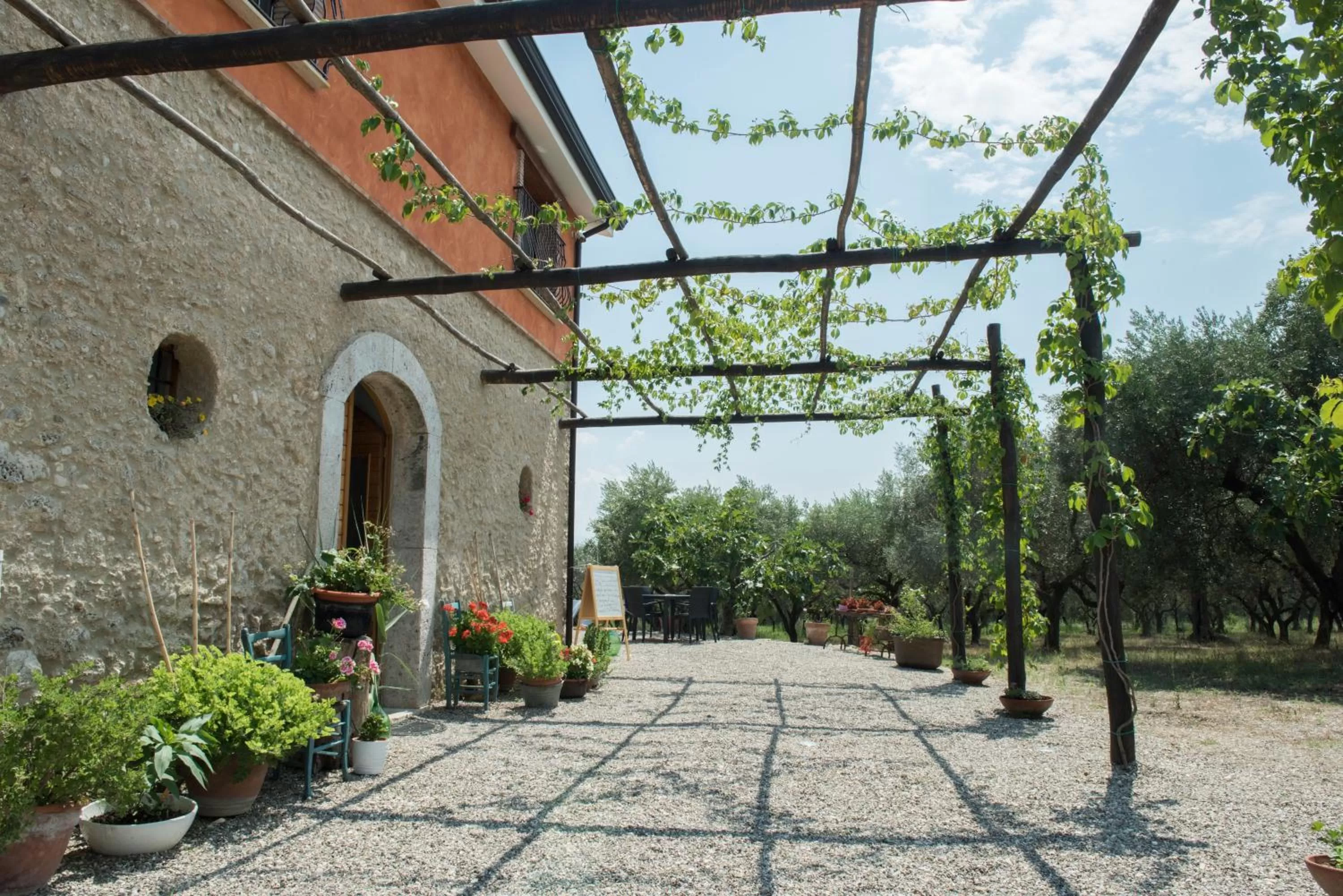Property Building in B&B Rifugio tra gli Ulivi