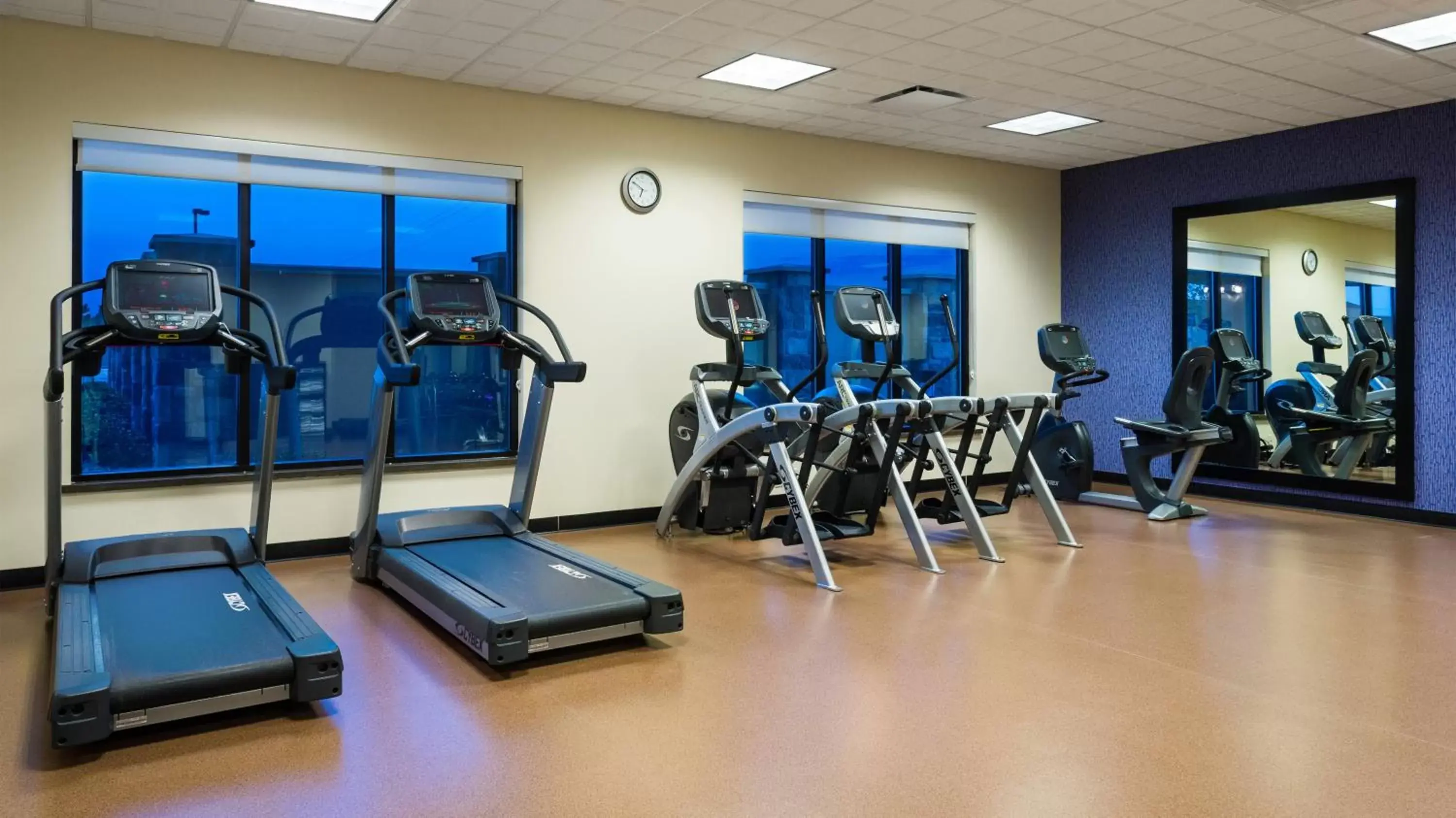 Fitness centre/facilities, Fitness Center/Facilities in Holiday Inn Express & Suites Midland South I-20, an IHG Hotel