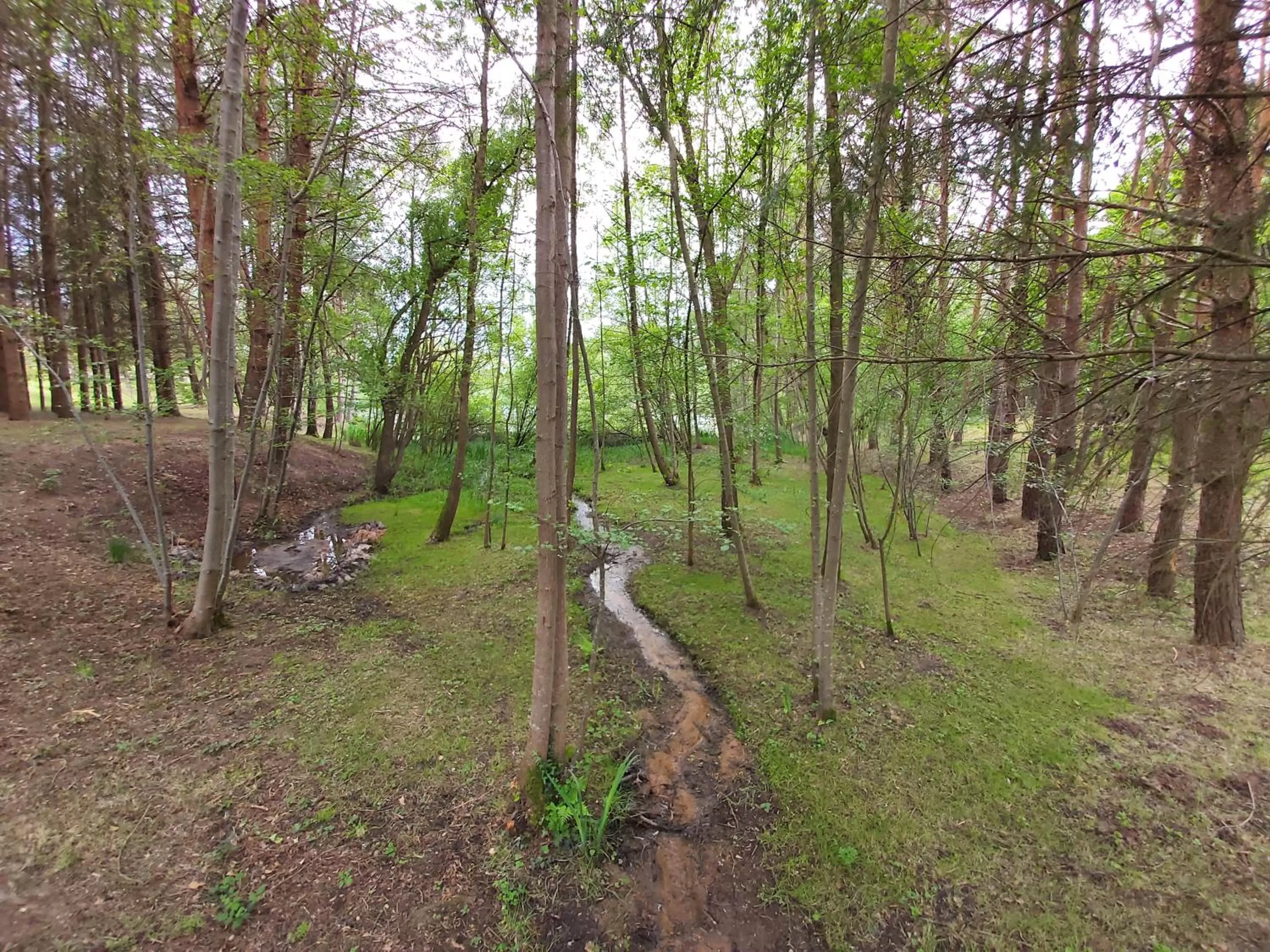 Natural landscape in Les Roulottes des Ris
