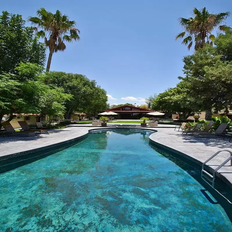 Swimming Pool in Real de Corralejo