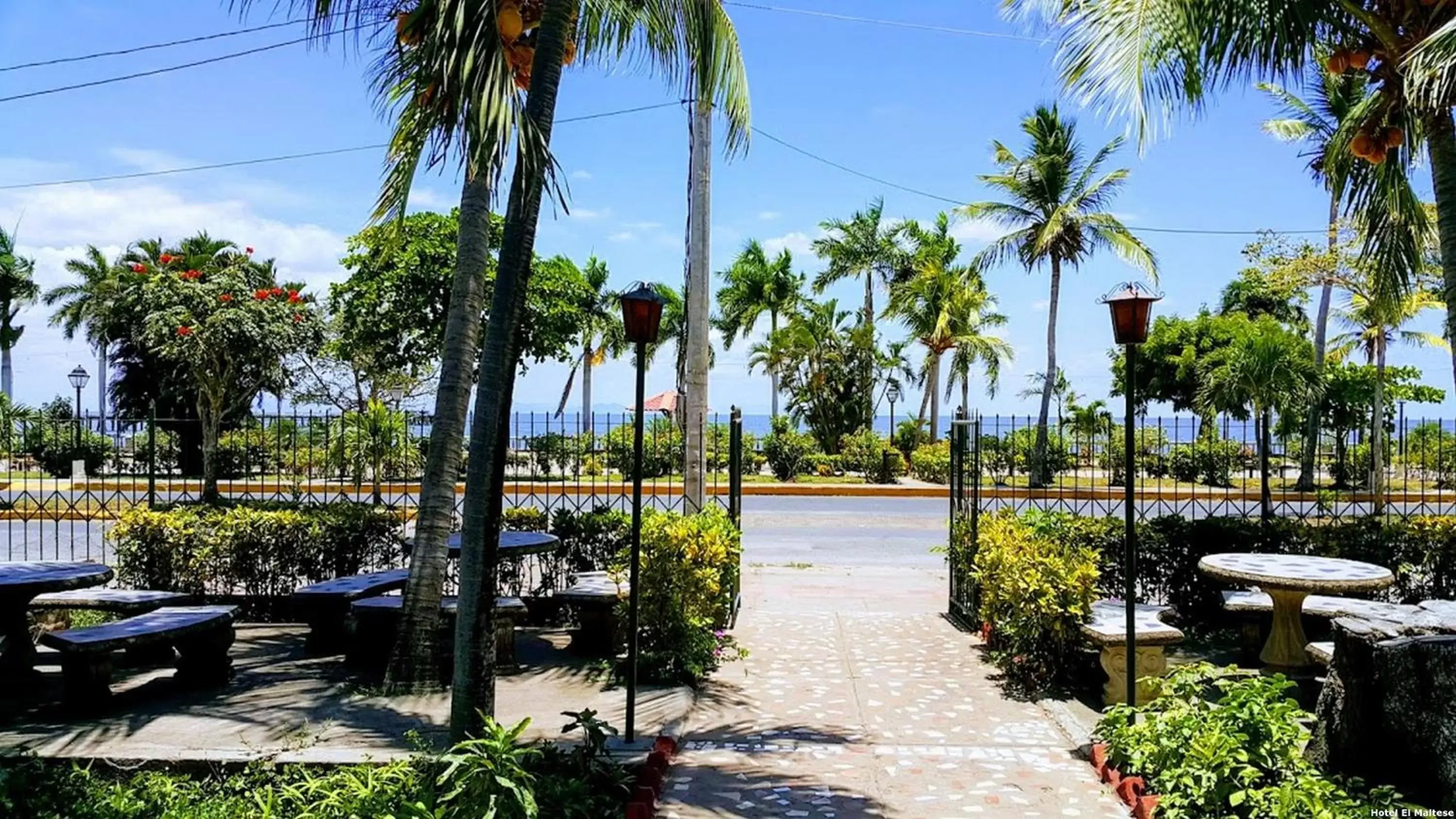 Garden in Hotel El Maltese