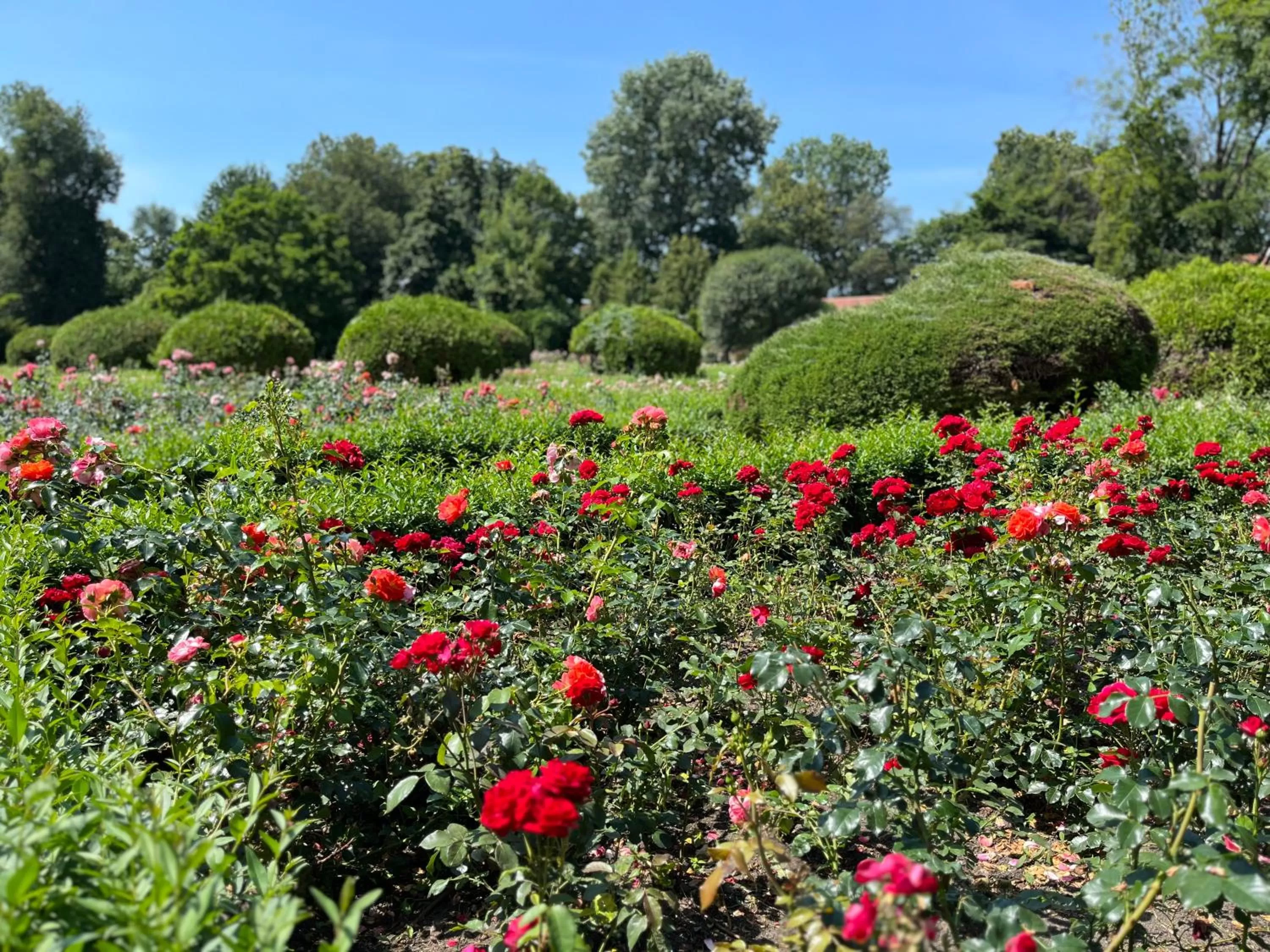 Spring in Dedek Park - historyczny dworek w pięknym Parku Skaryszewskim obok Stadionu Narodowego