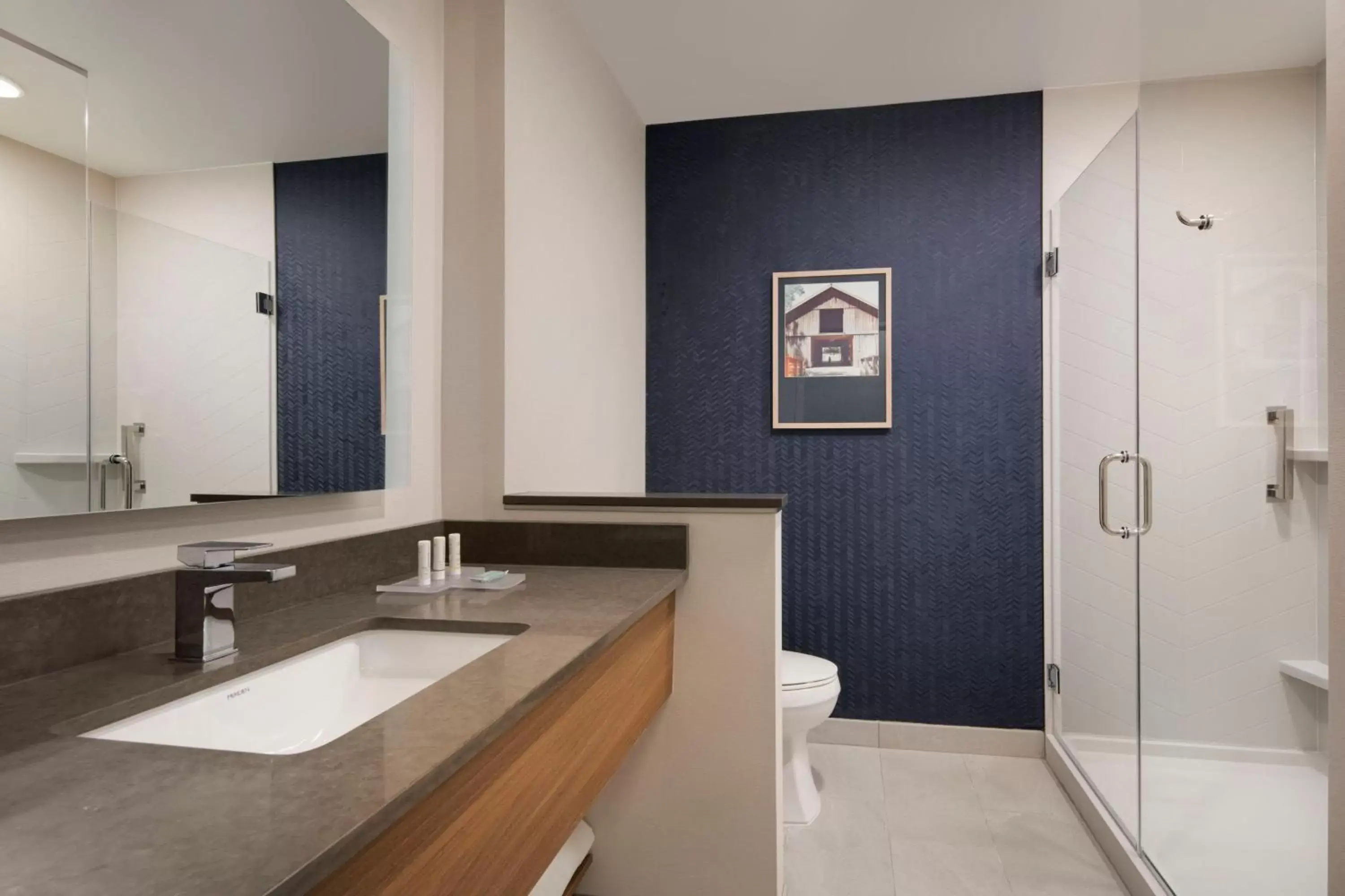 Bathroom in Fairfield by Marriott Inn & Suites Franklin Cool Springs