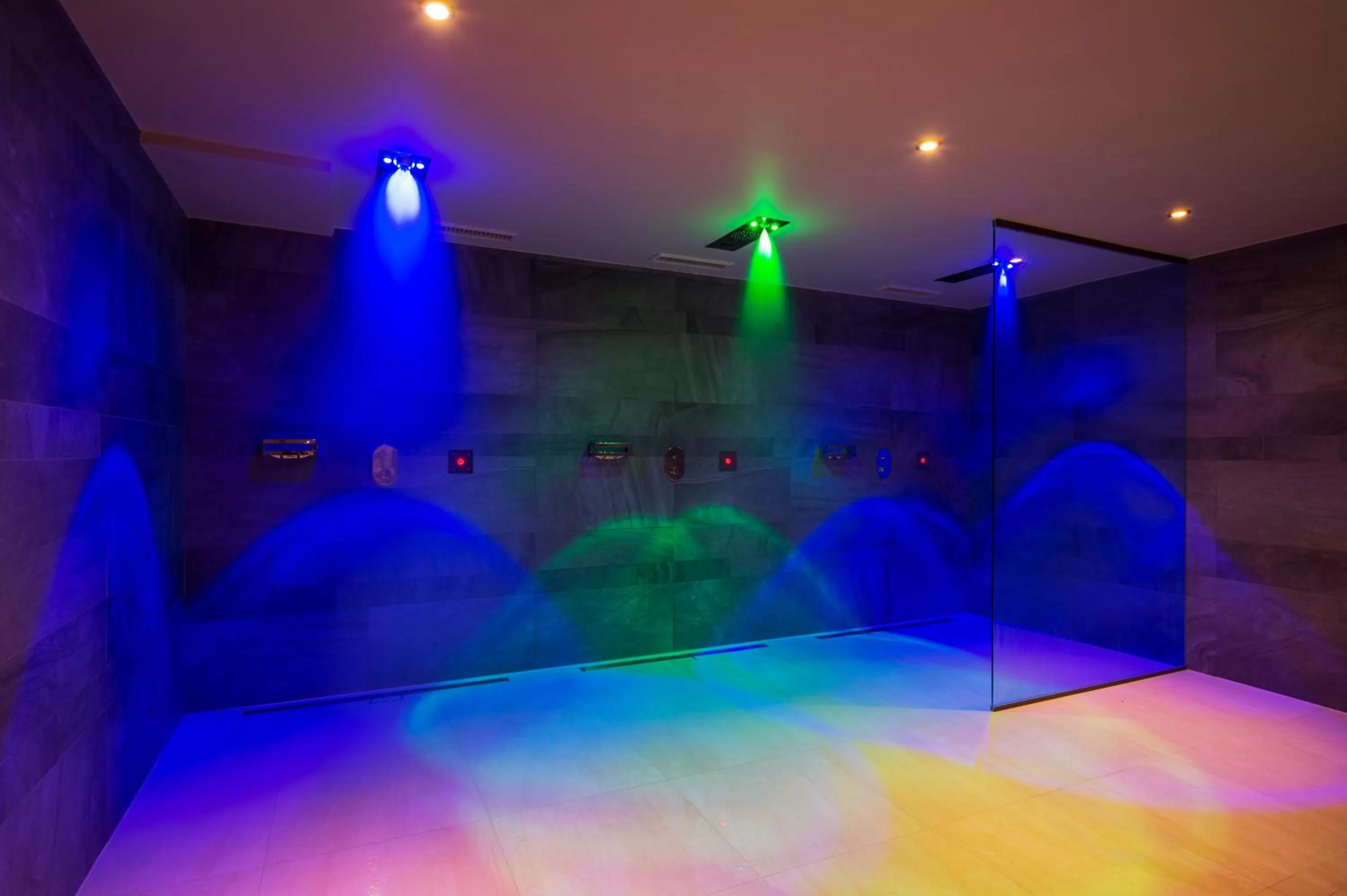 Sauna in Parkhotel Hall in Tirol