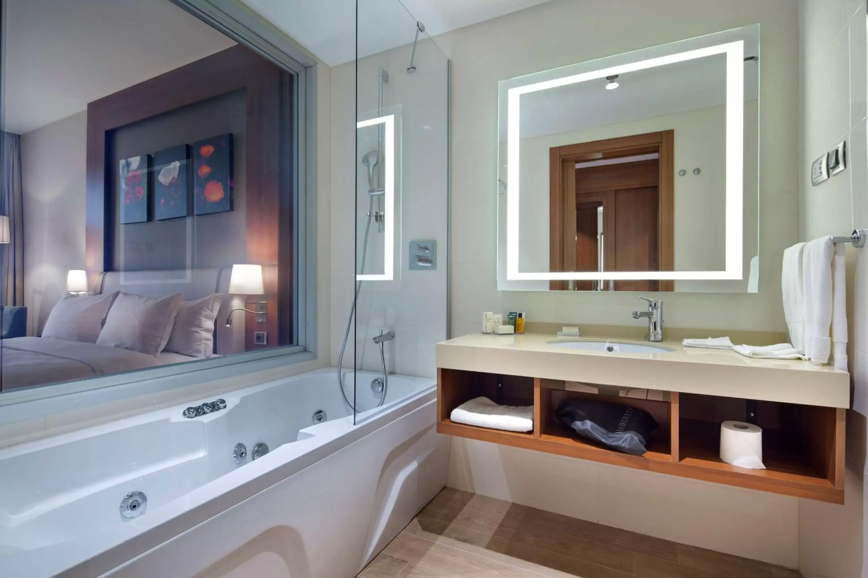 Bathroom in Hilton Garden Inn Istanbul Beylikduzu