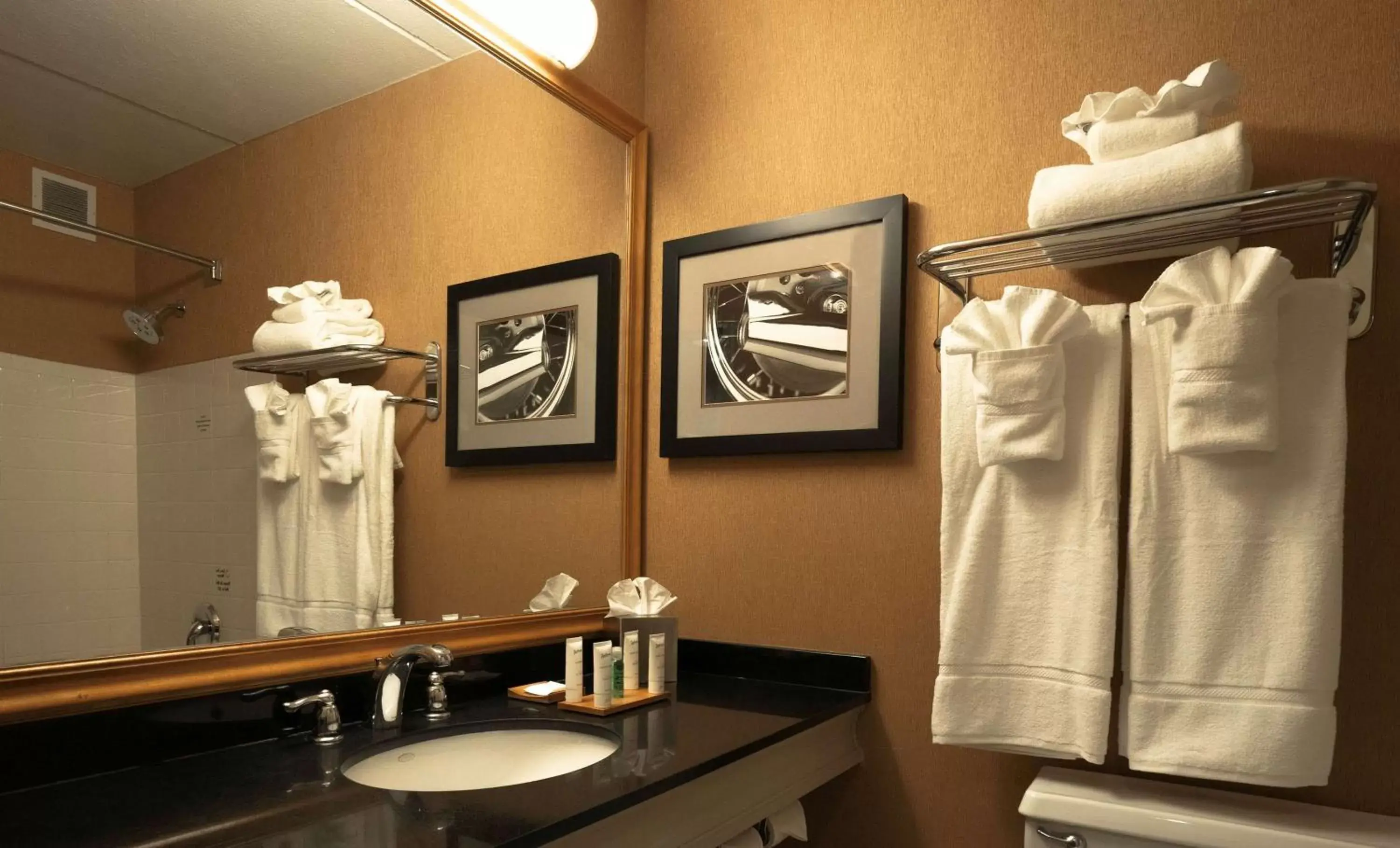 Premium King Room - Non-Smoking in Radisson Hotel Milwaukee West Premium King Room - Non-Smoking in Radisson Hotel Milwaukee West