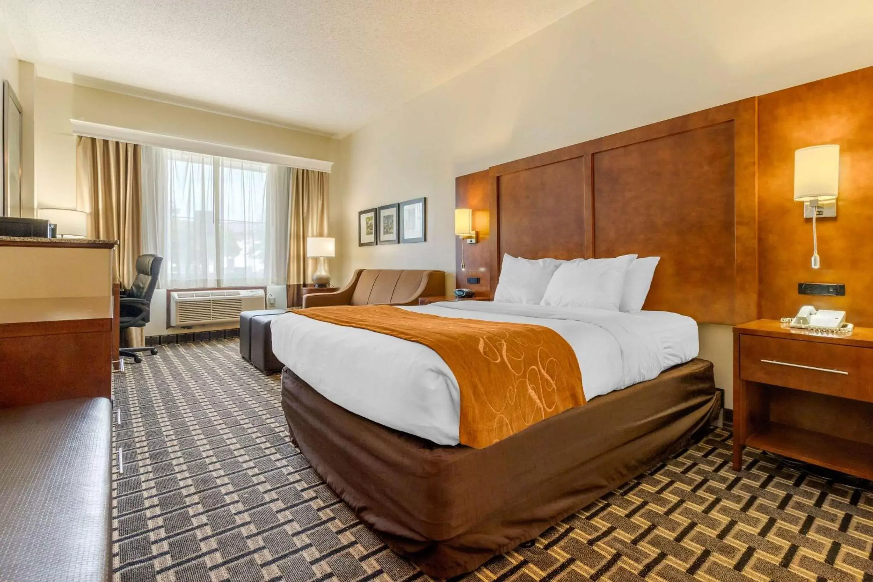 Queen Suite - Disability Access/Non-Smoking in Comfort Inn Summerville - Charleston