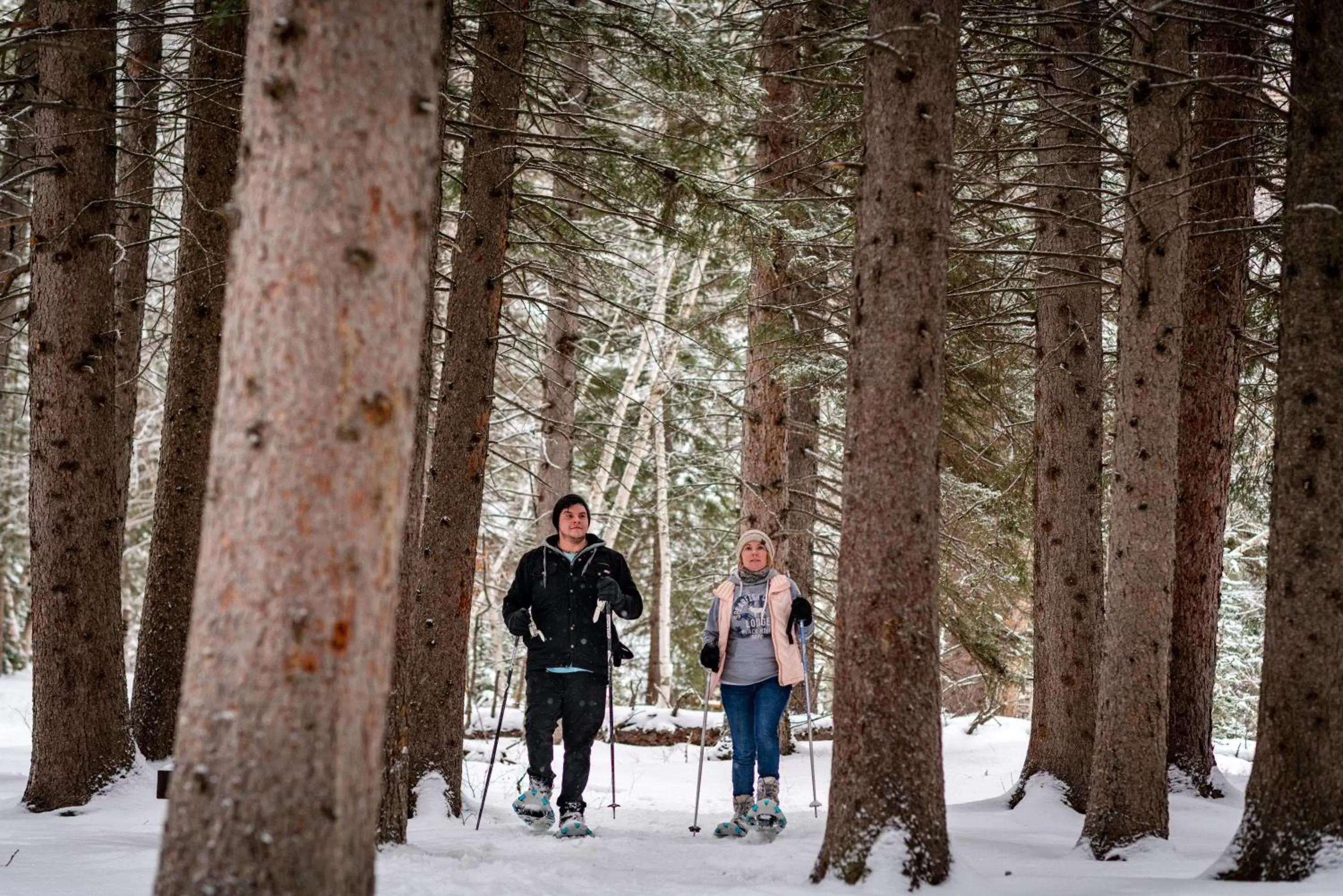 Sports, Winter in Spearfish Canyon Lodge