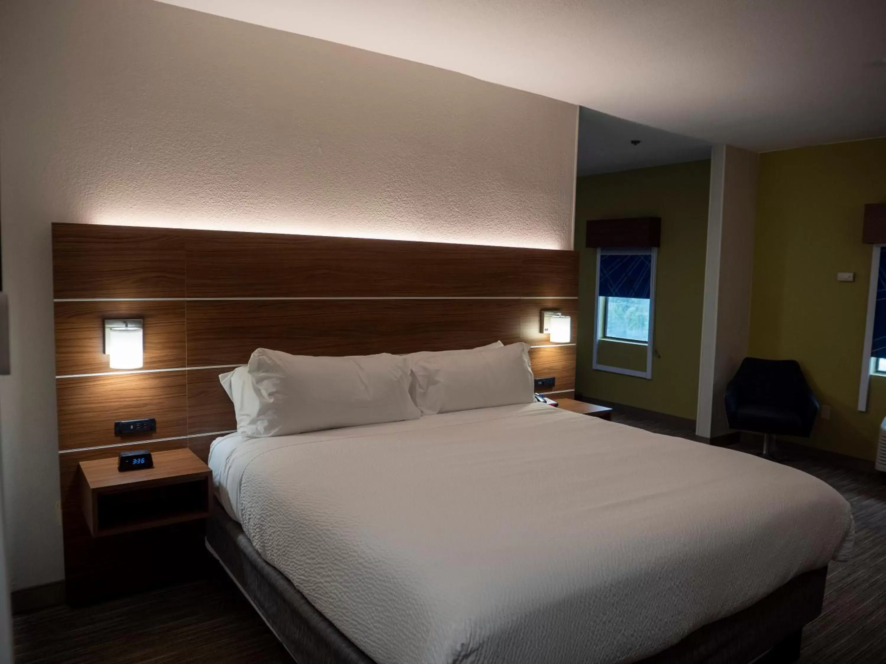 King Suite with Sofa Bed in Holiday Inn Express & Suites Greenville Airport, an IHG Hotel King Suite with Sofa Bed in Holiday Inn Express & Suites Greenville Airport, an IHG Hotel