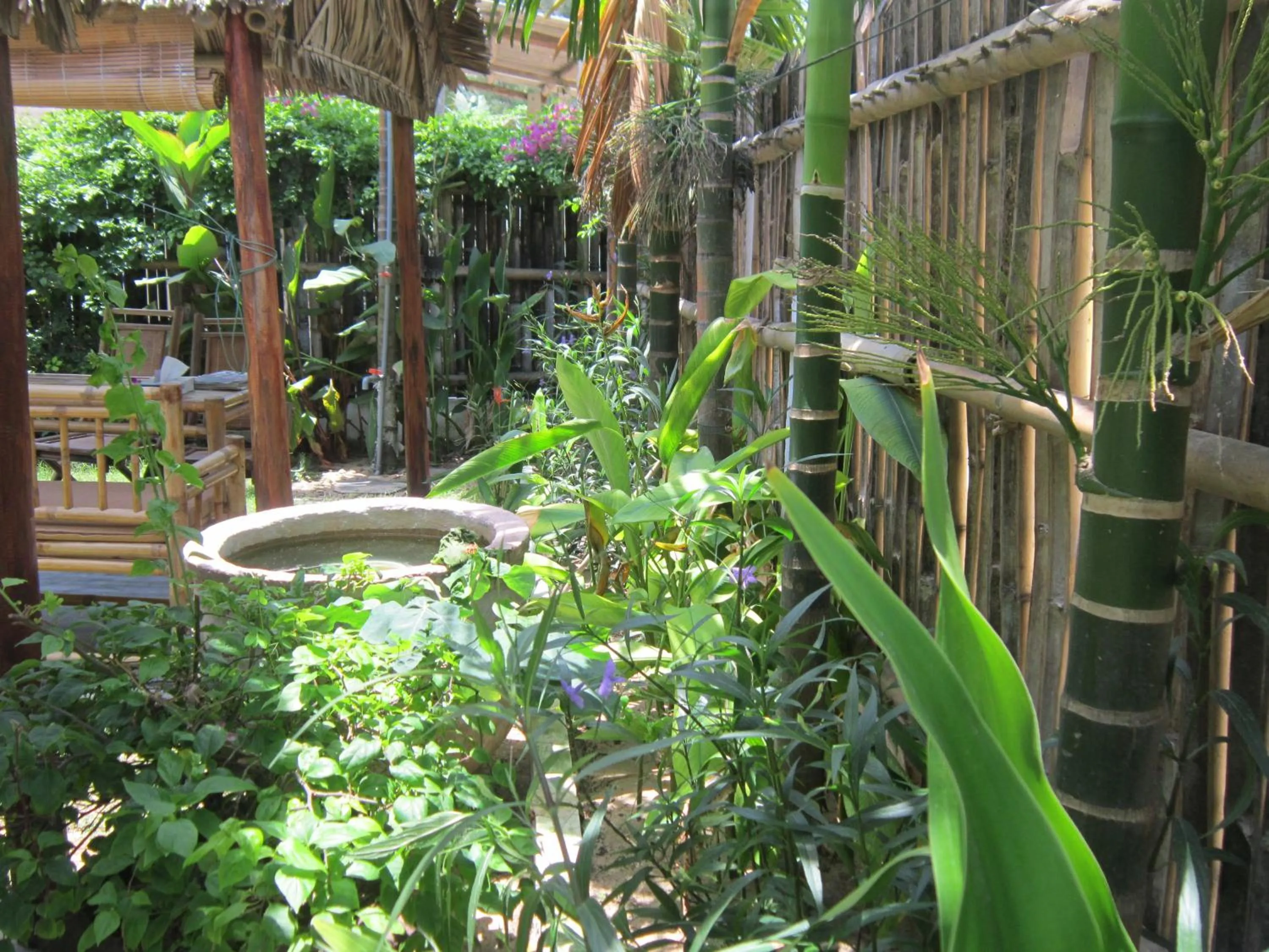Garden in Local Beach Homestay