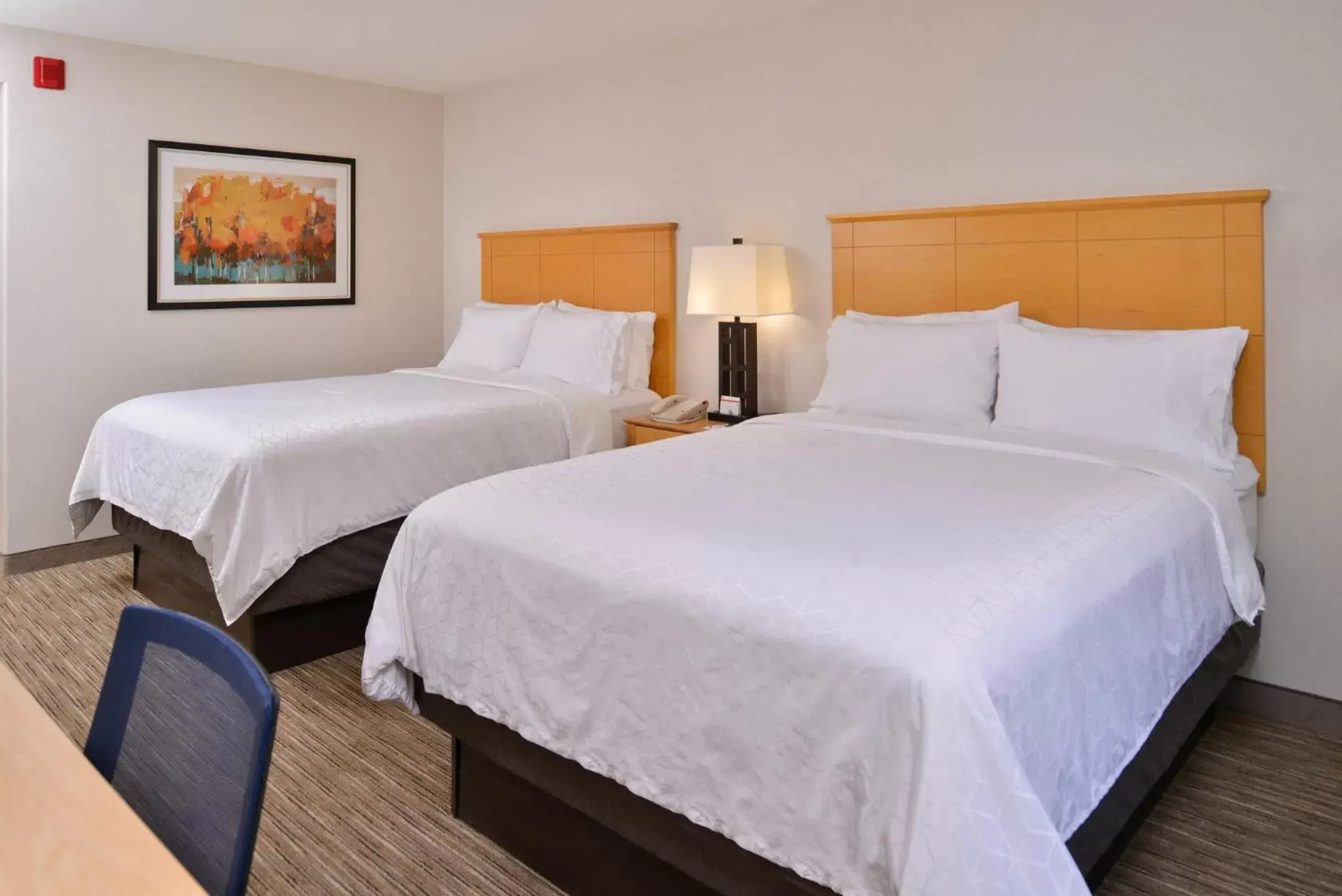 Photo of the whole room, Bed in Holiday Inn Express Stockton Southeast, an IHG Hotel