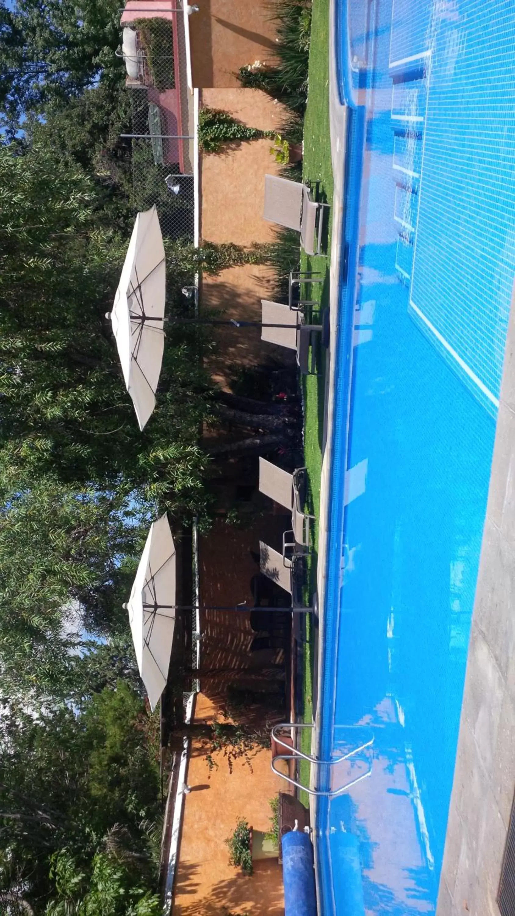 Swimming pool, Pool View in Hotel Boutique La Granja