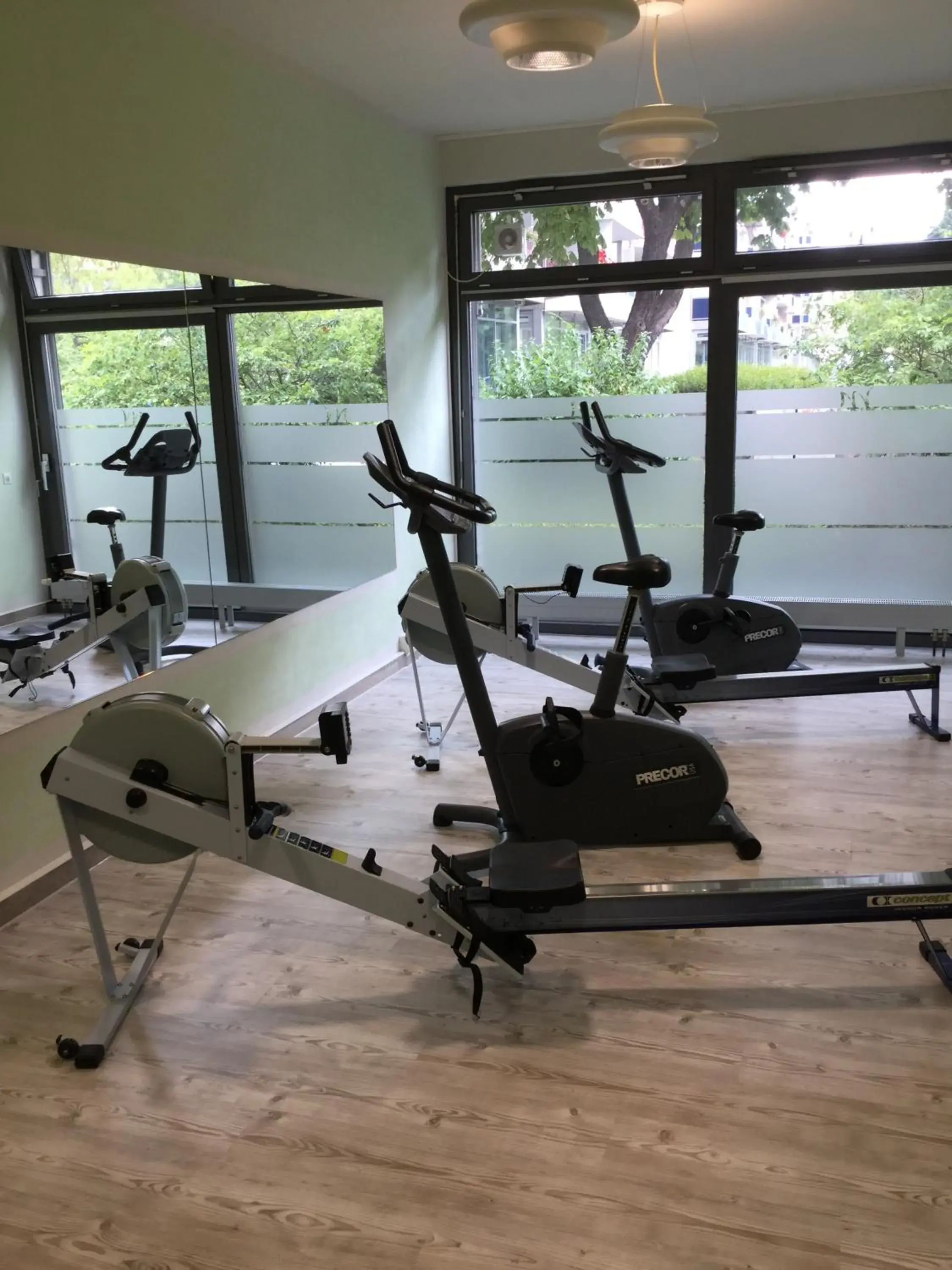 Fitness centre/facilities, Fitness Center/Facilities in Mercure Hotel Riesa Dresden Elbland