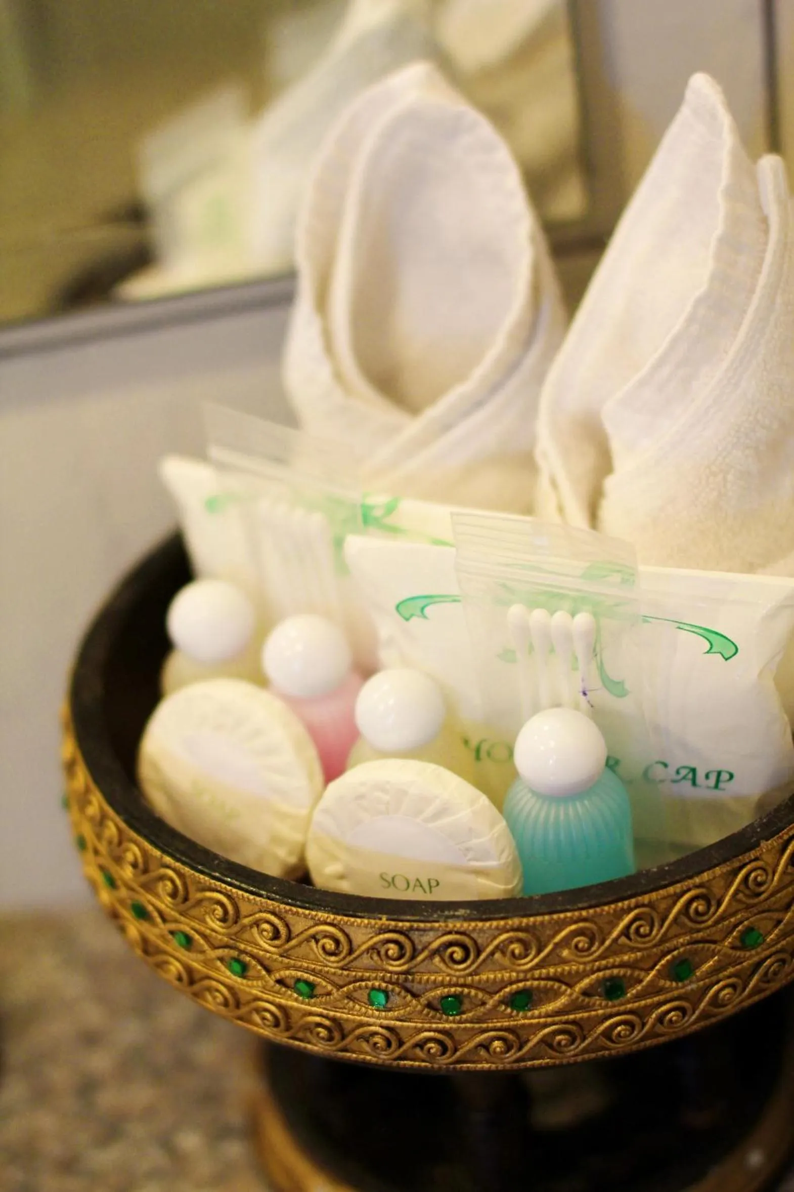 Area and facilities in Top North Hotel