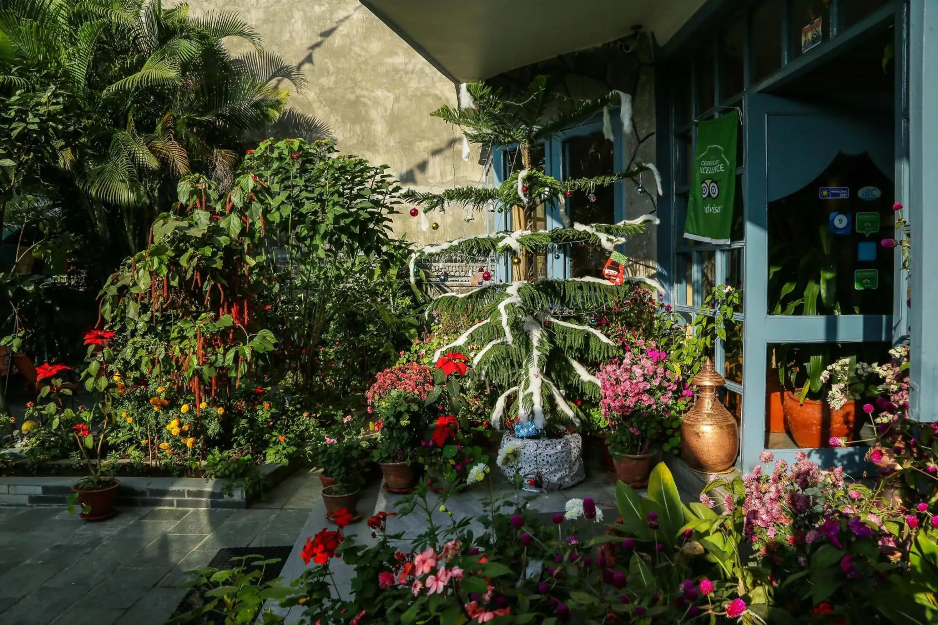 Garden, Property Building in The Silver Oaks Inn