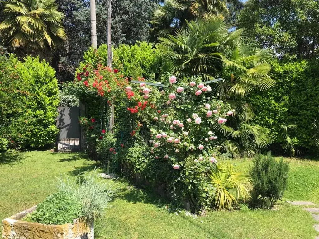 Garden in Rainbow Relais