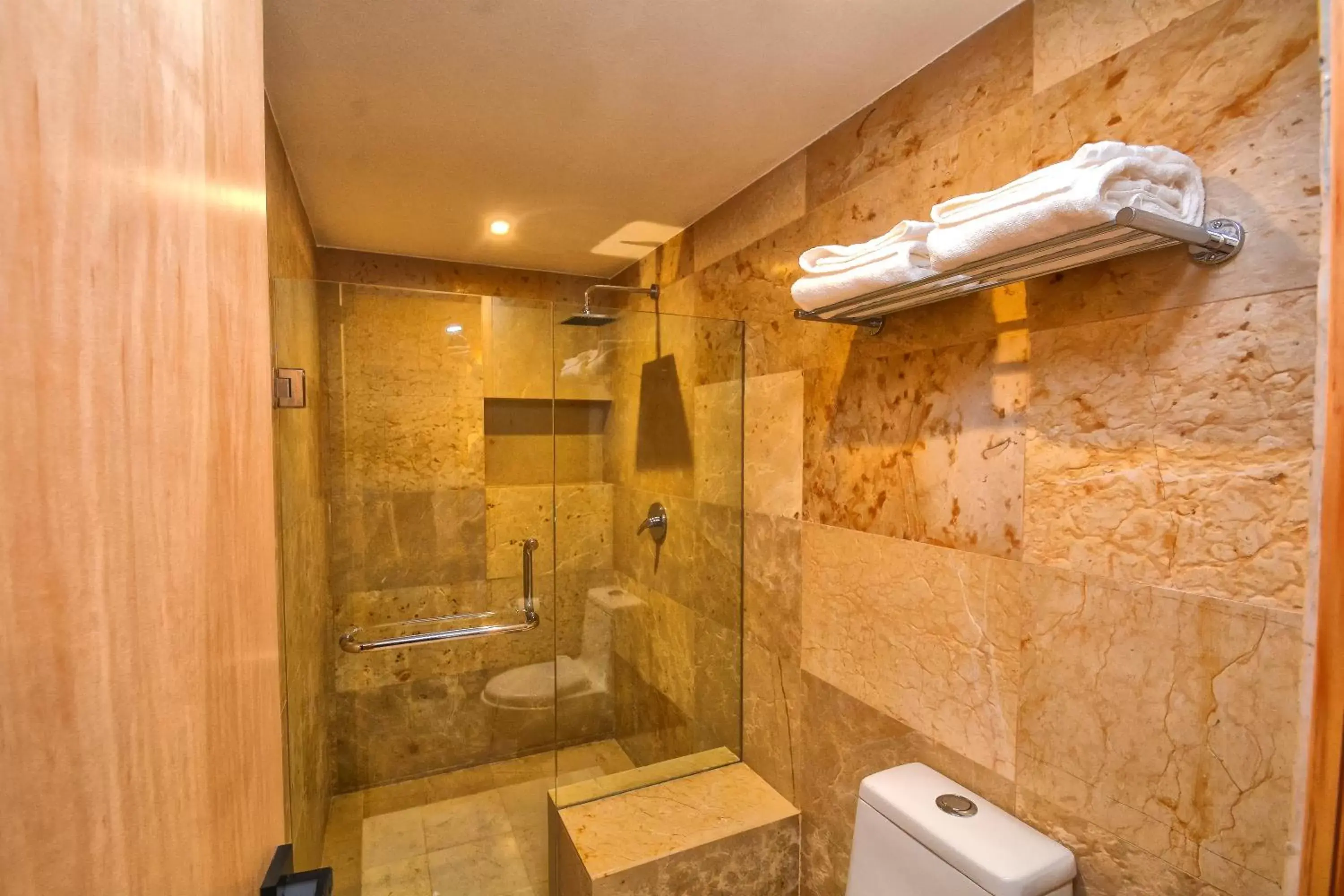 Shower, Bathroom in Hotel Casa Iturbe