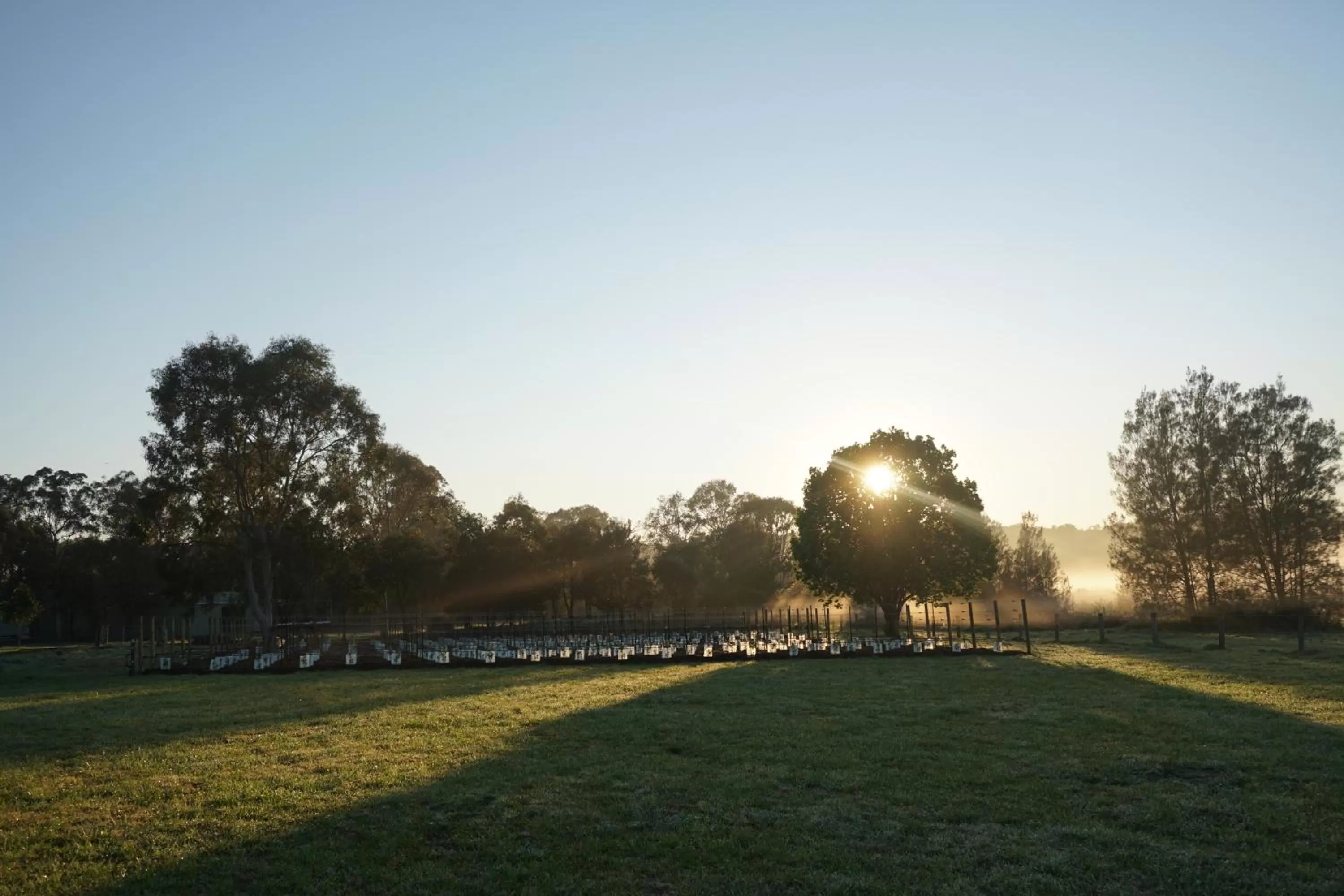 Spring in Narangba Motel (formerly Brisbane North B&B and Winery)