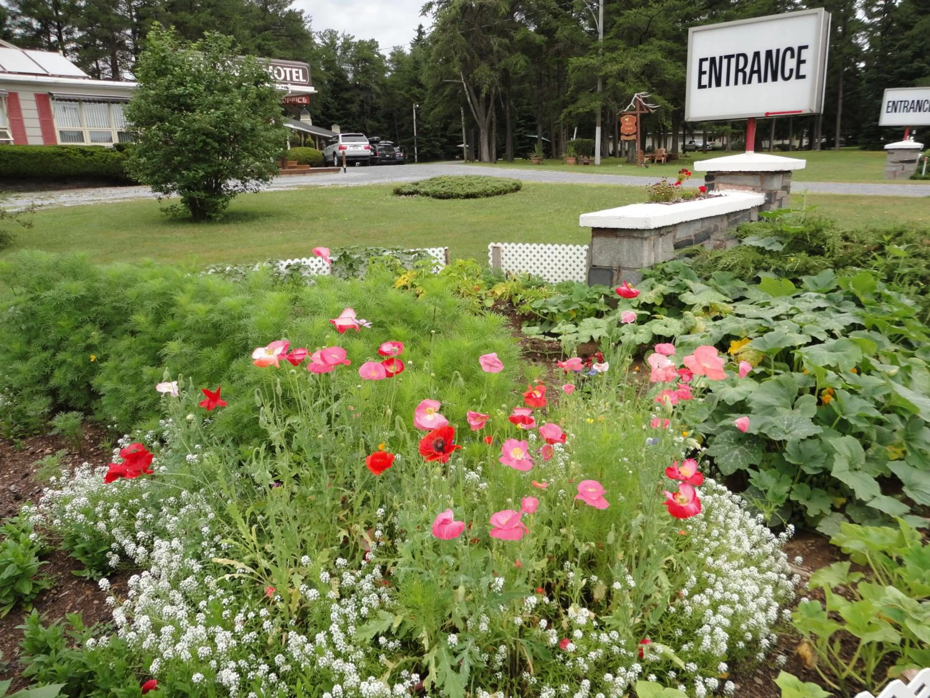 Day in Pinecone Motel