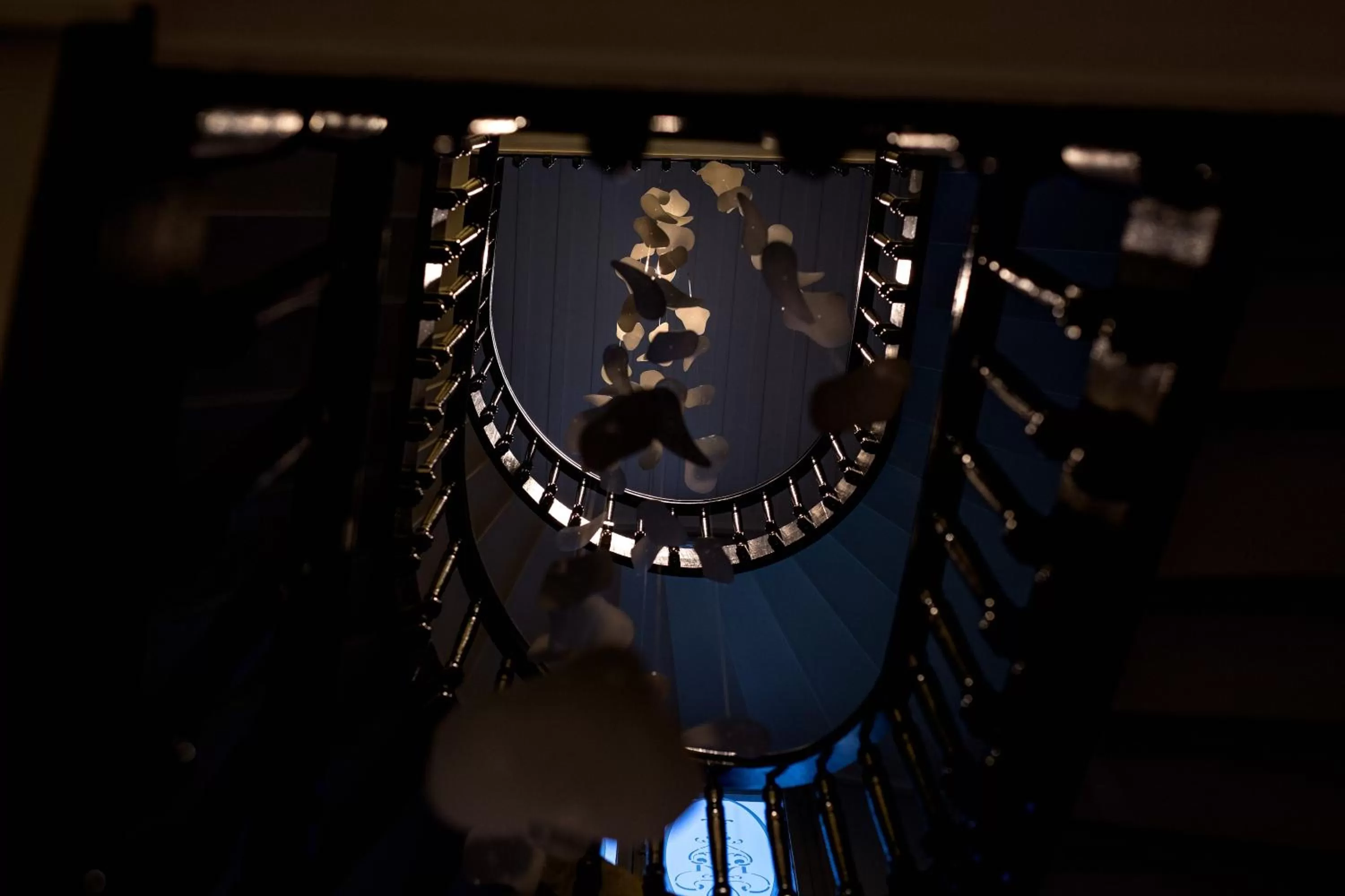 Area and facilities in Gambello Luxury Rooms