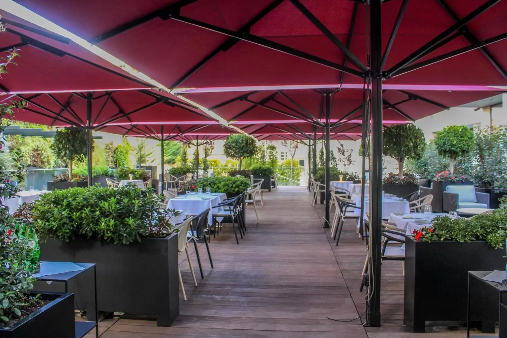 Patio, Restaurant/Places to Eat in Lux Lisboa Park