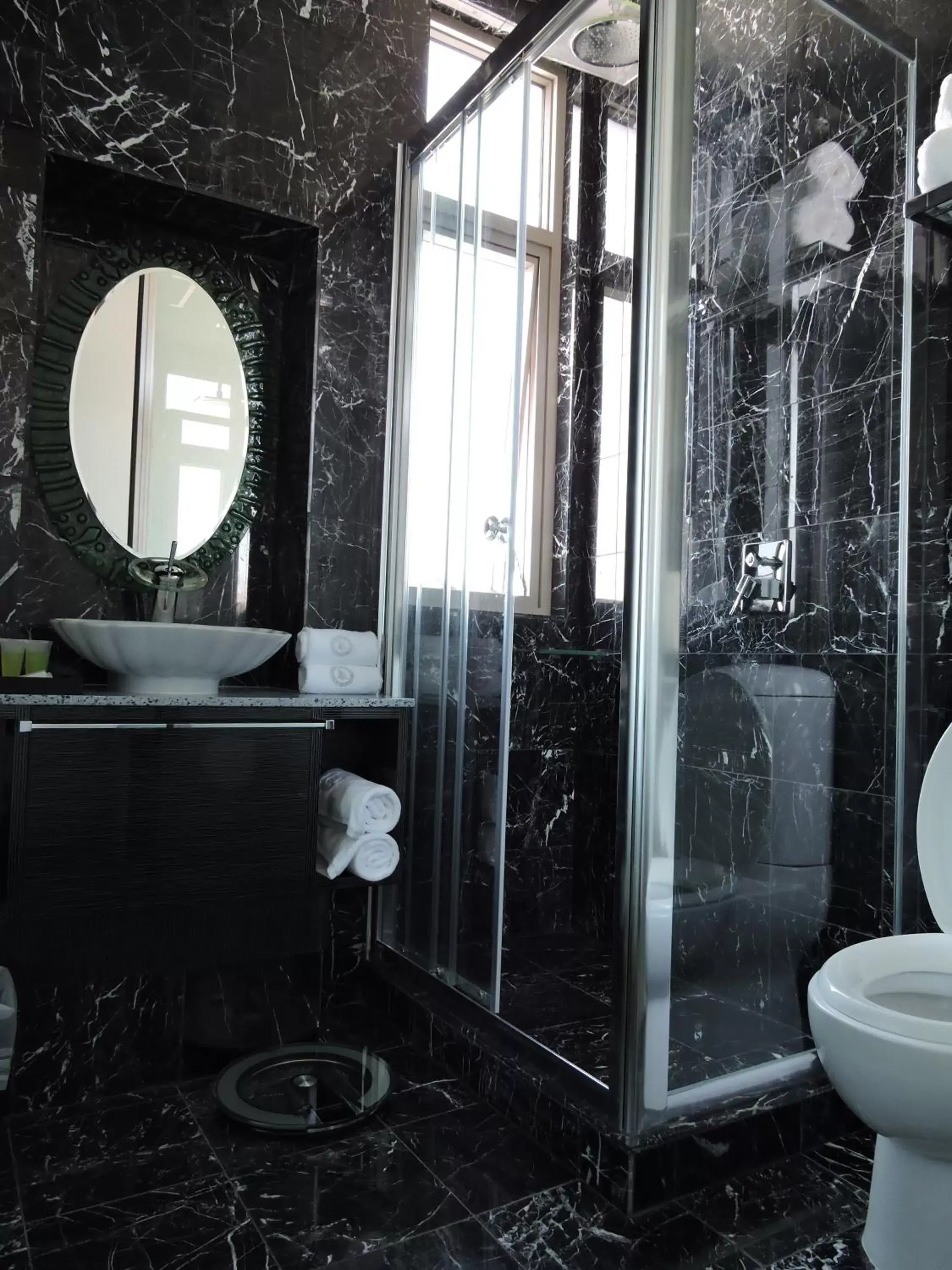 Shower, Bathroom in Swan River Hotel