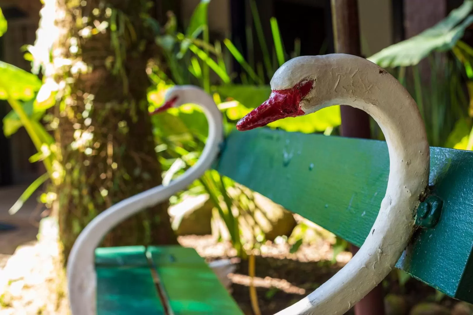 Garden in Pousada Porto Imperial