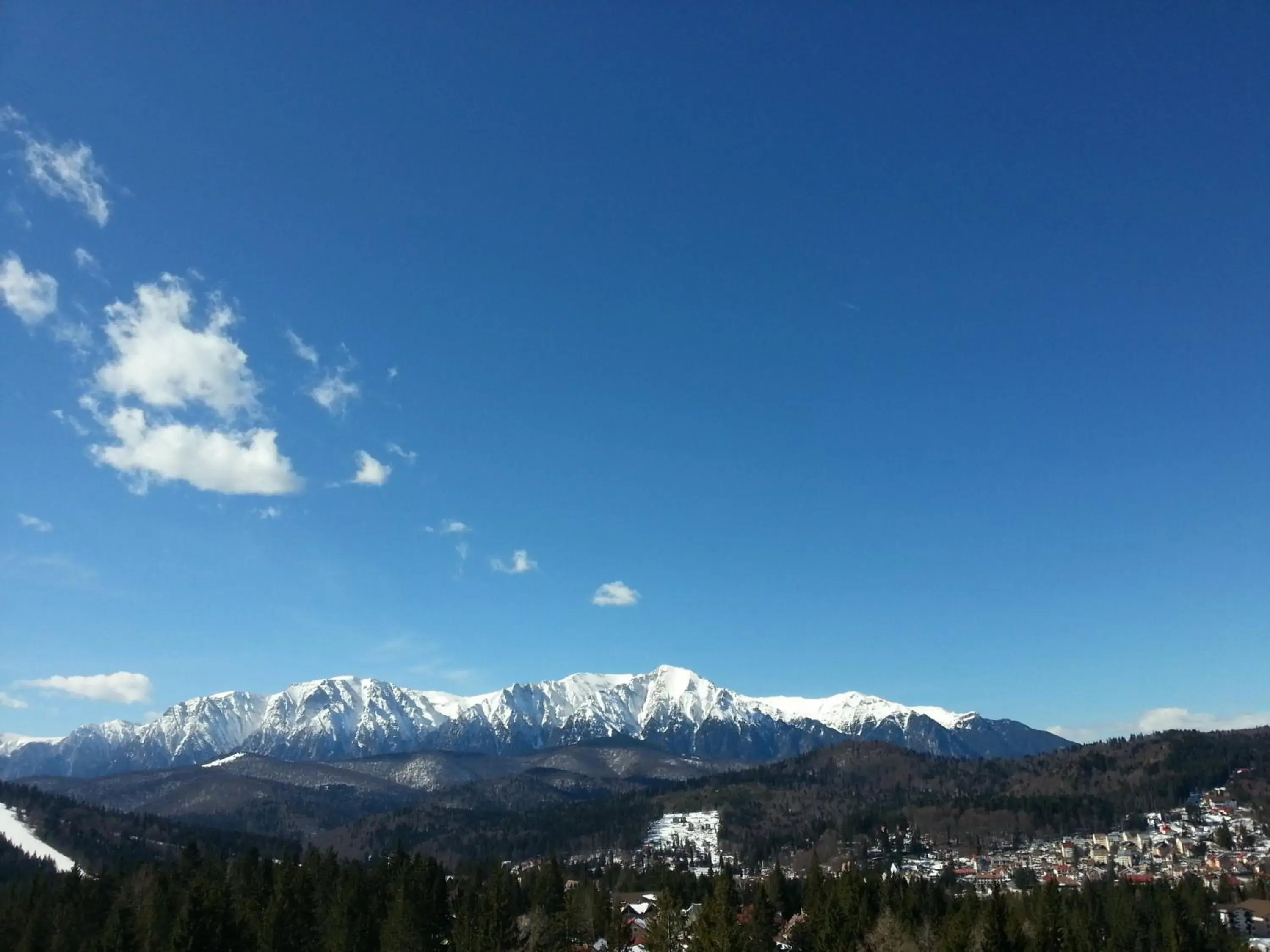 Area and facilities, Mountain View in Hotel Belvedere