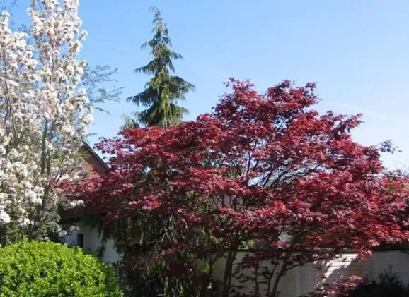 Other in Hotel am Wasserturm