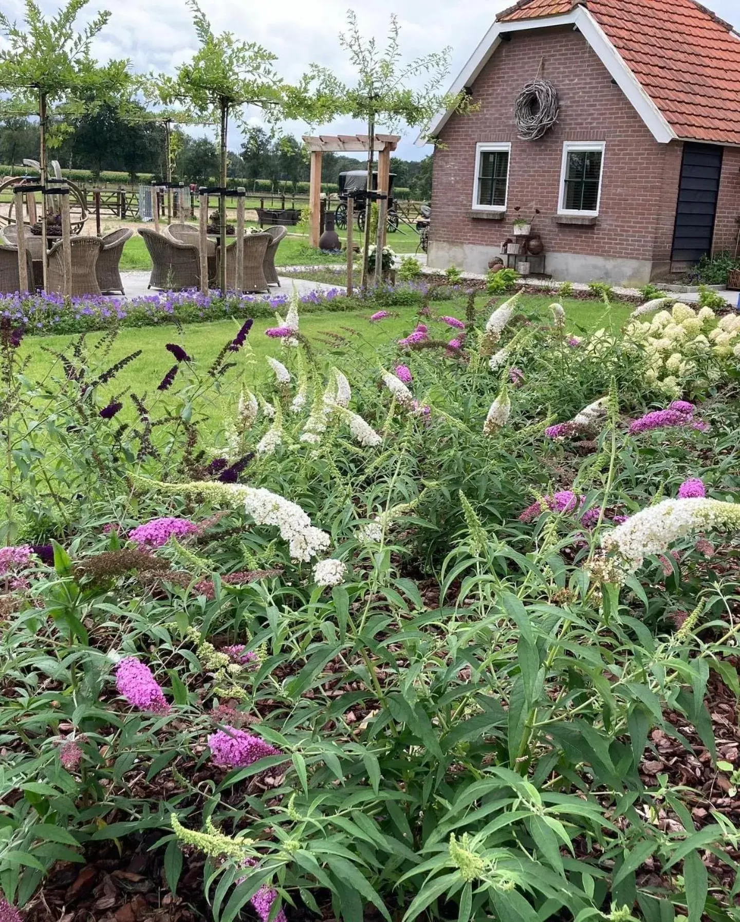 Garden in Bed & Breakfast Hoeve Happiness