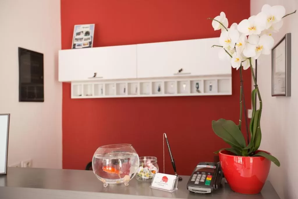 Lobby or reception in Hotel Rimini Tirana