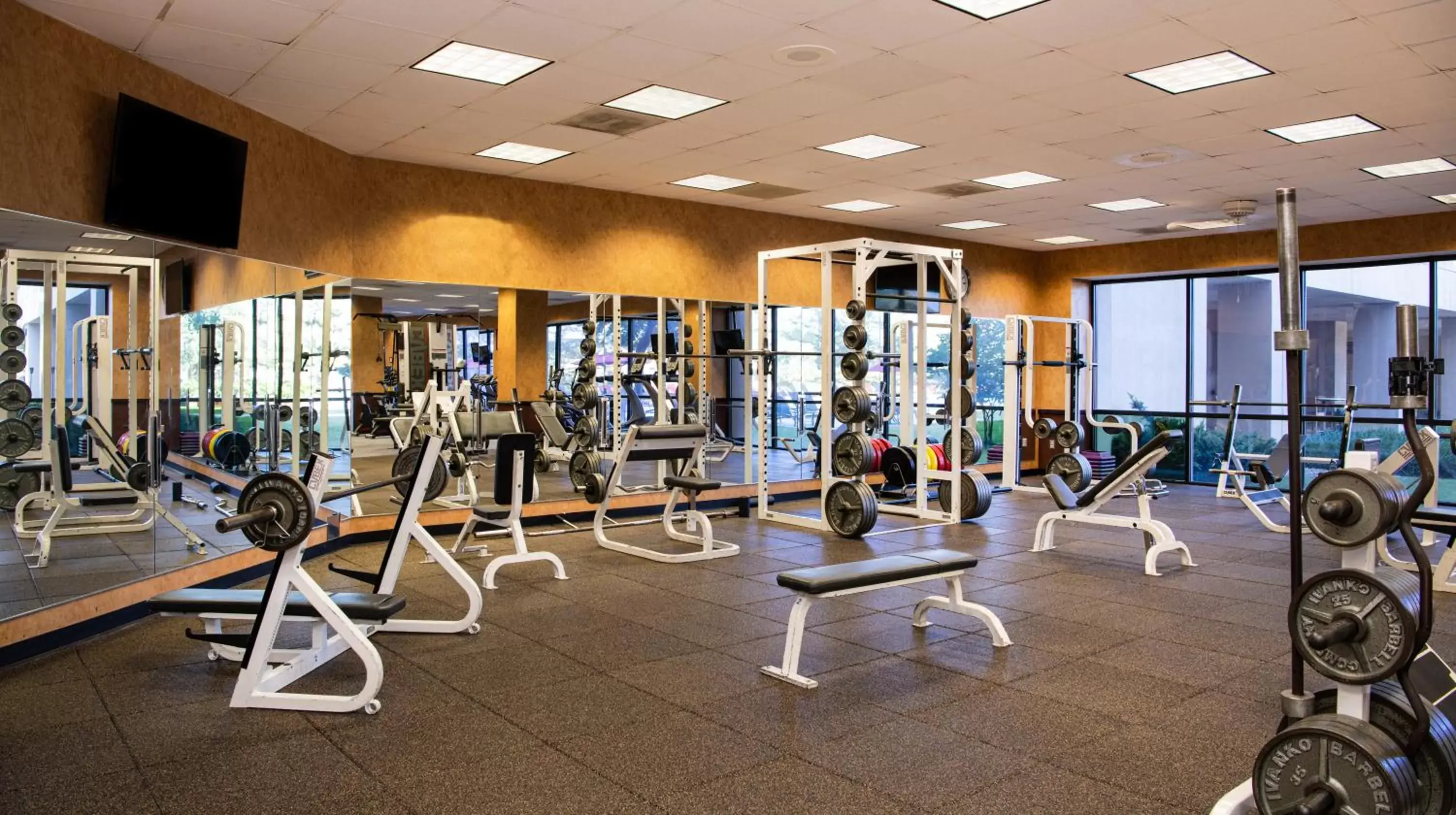 Fitness centre/facilities, Fitness Center/Facilities in NCED Conference Center & Hotel