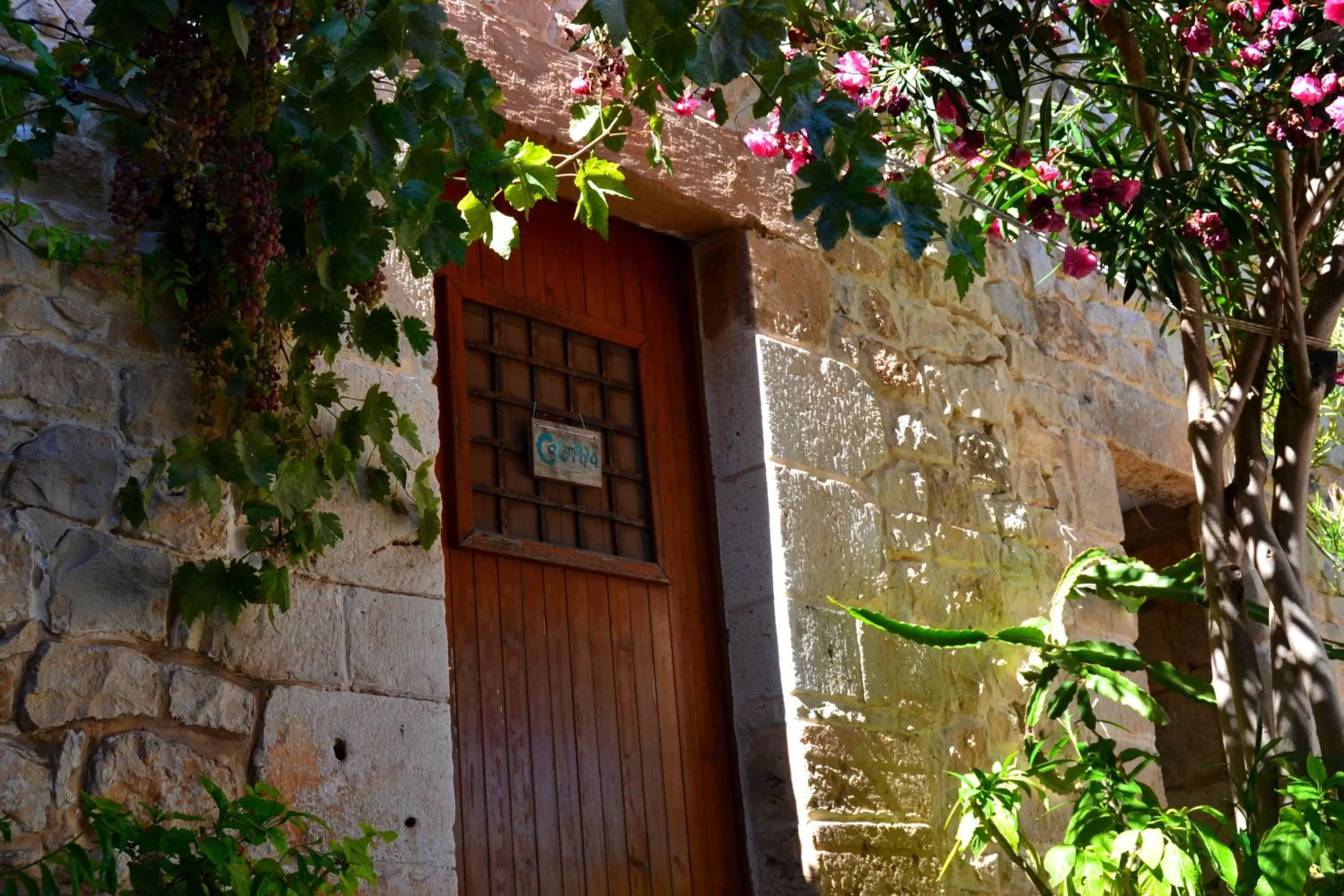 Property building in Vinciucci