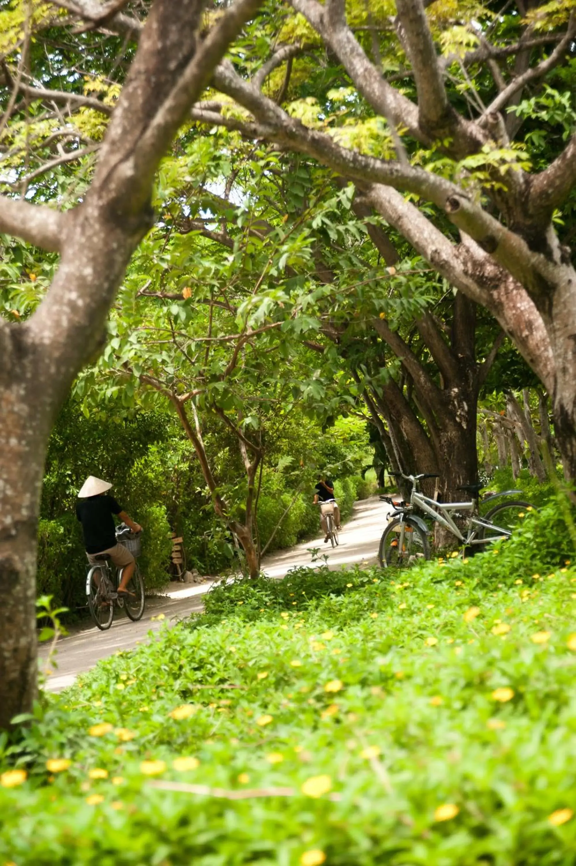 Garden view, Garden in L'Alya Ninh Van Bay