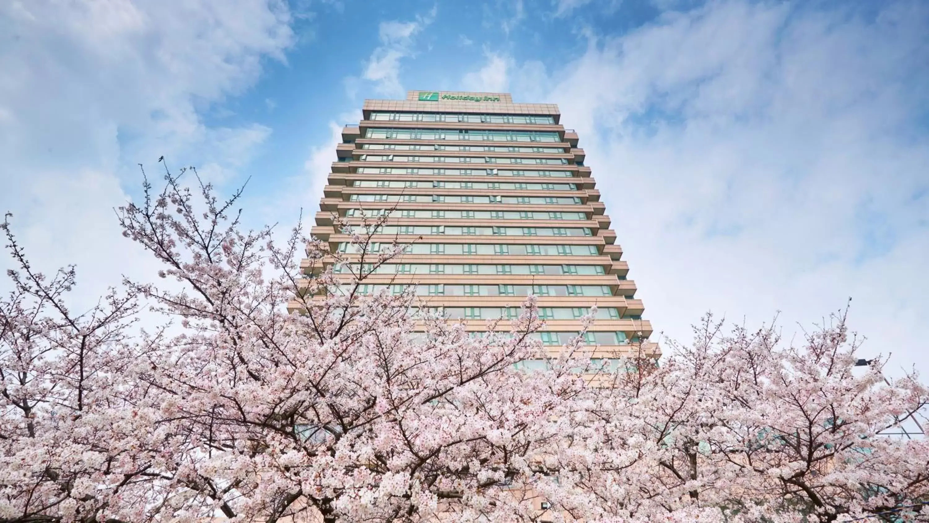 Holiday Inn Wuhan Riverside by IHG Holiday Inn Wuhan Riverside by IHG