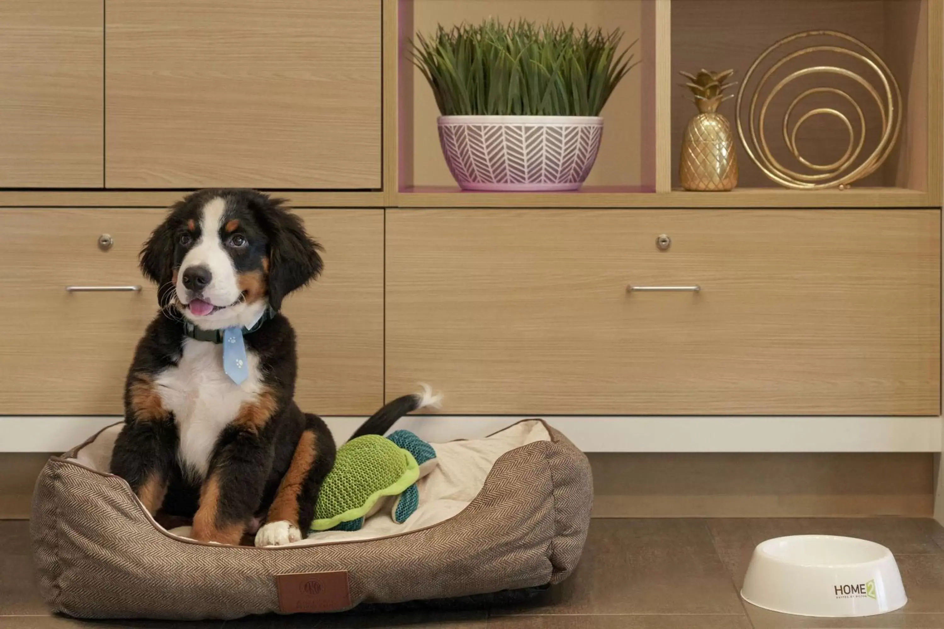 Lobby or reception in Home2 Suites By Hilton Ephrata Lobby or reception in Home2 Suites By Hilton Ephrata