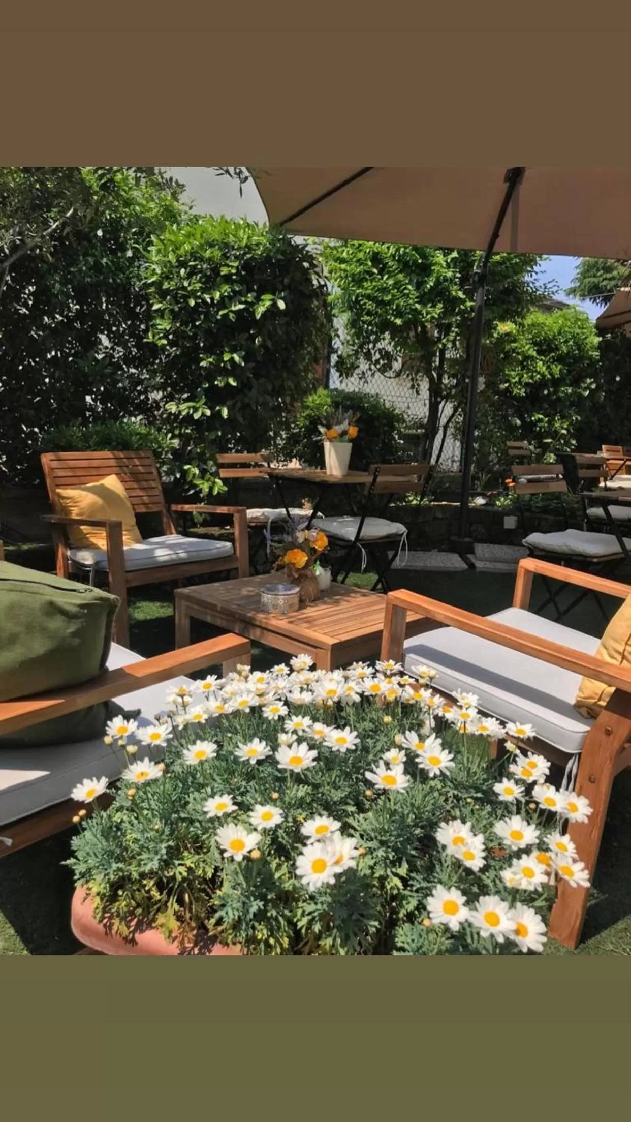 Garden in B&B Magnolia