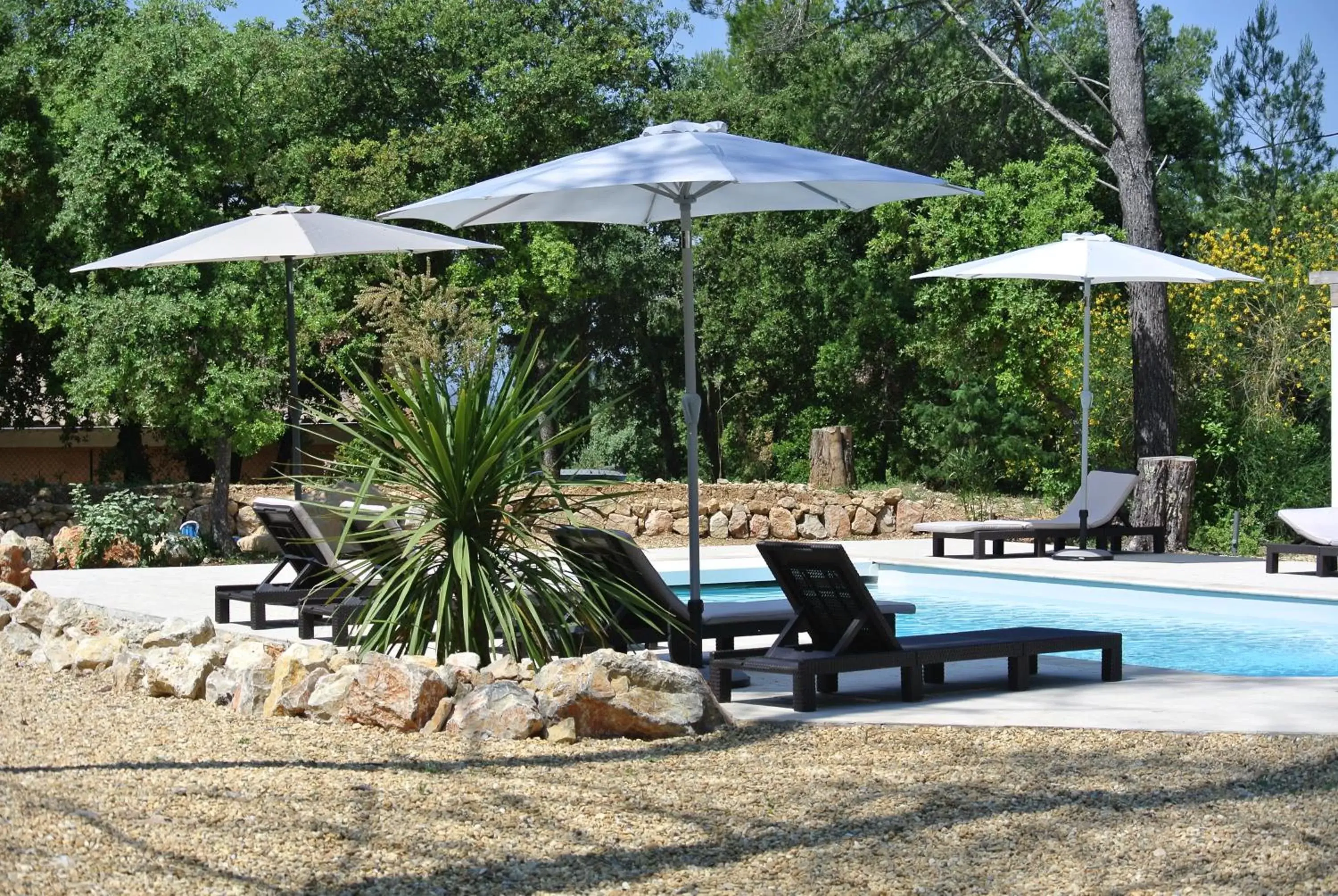 Swimming Pool in Villa CARPE DIEM