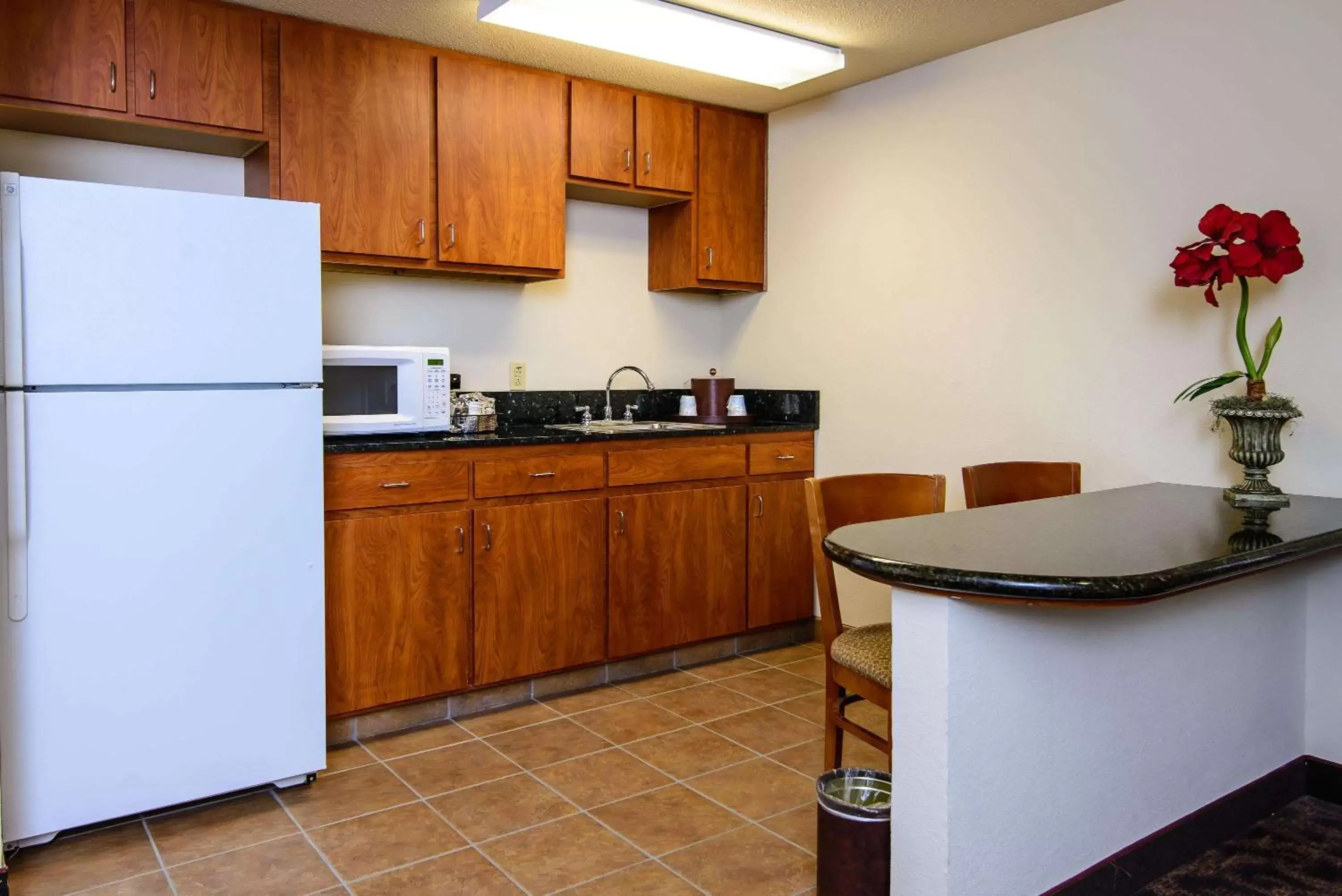 Kitchen or kitchenette, Kitchen/Kitchenette in Hampton Inn Houston-Pearland, TX