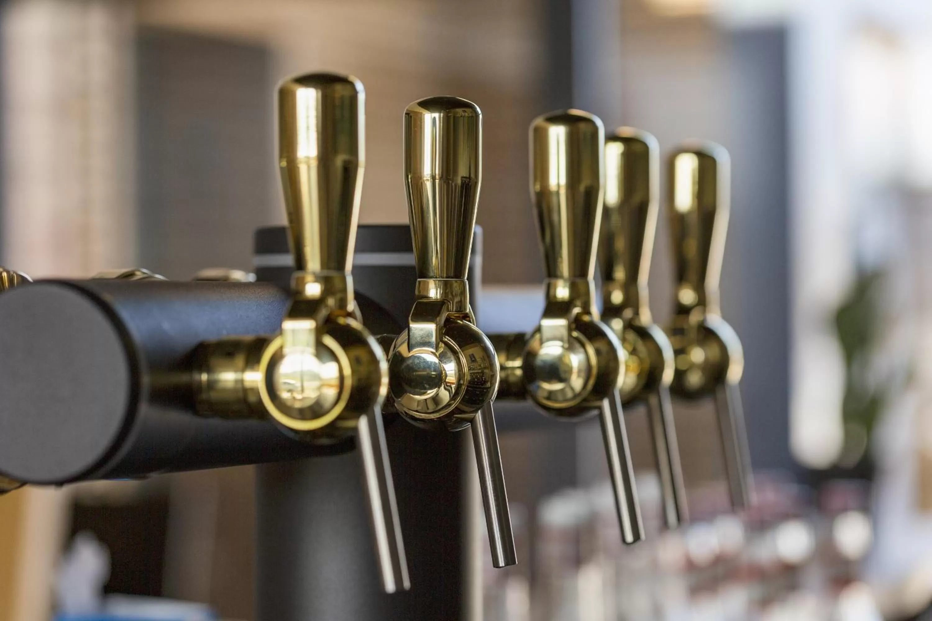 Lounge or bar in Campanile Chartres