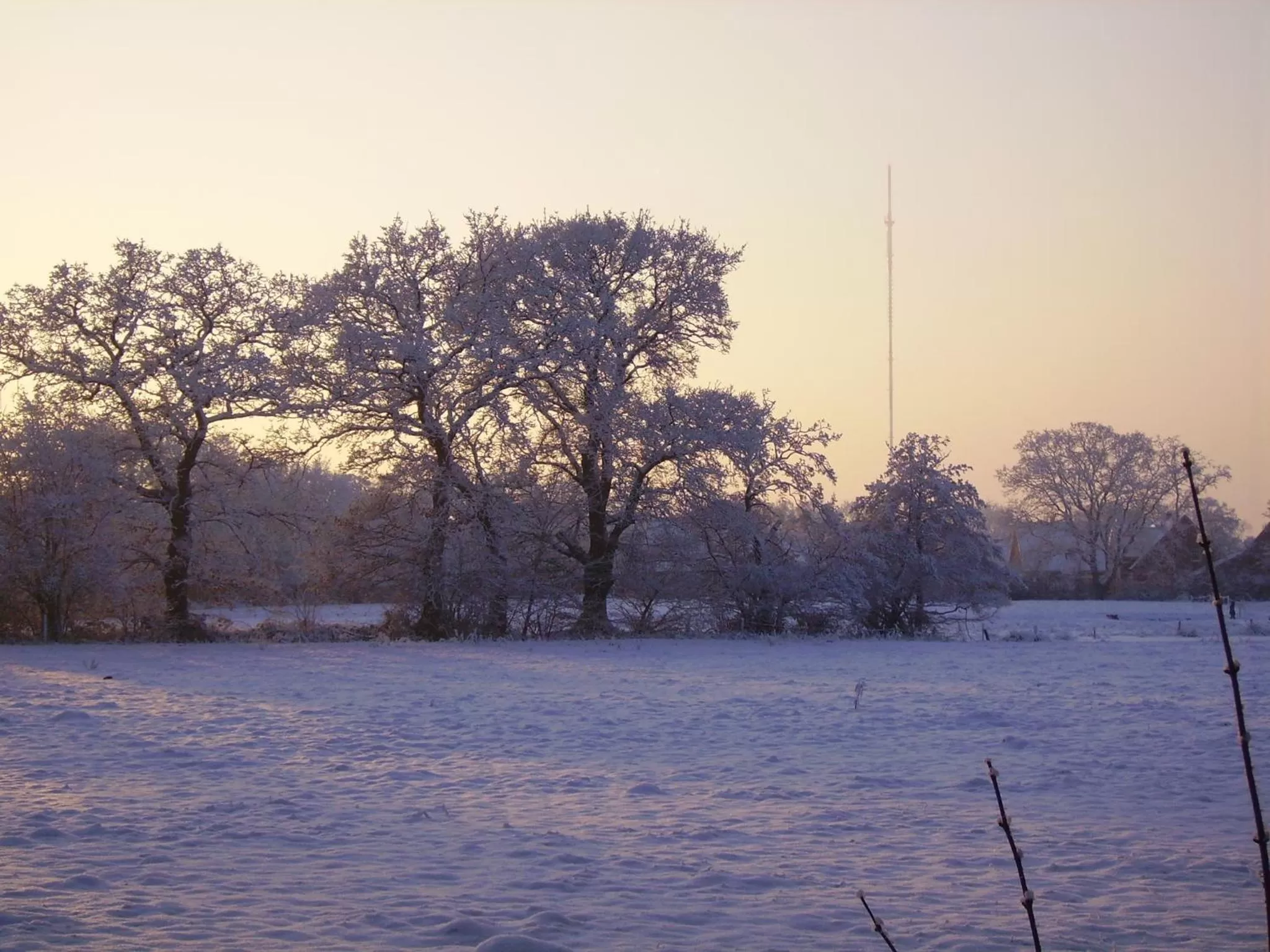 Natural landscape in Hotel Waldquelle