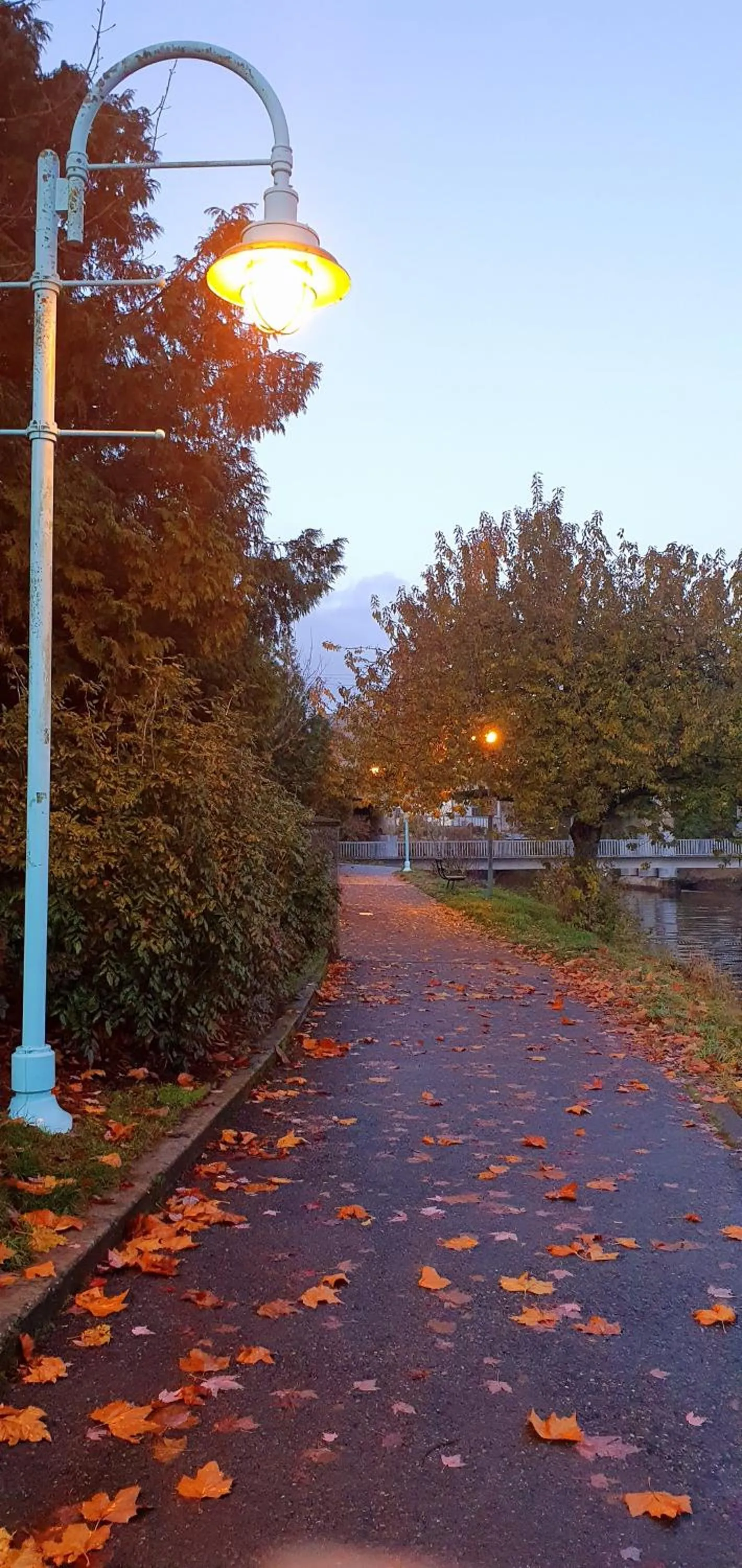 Street view in Painted Turtle Guesthouse