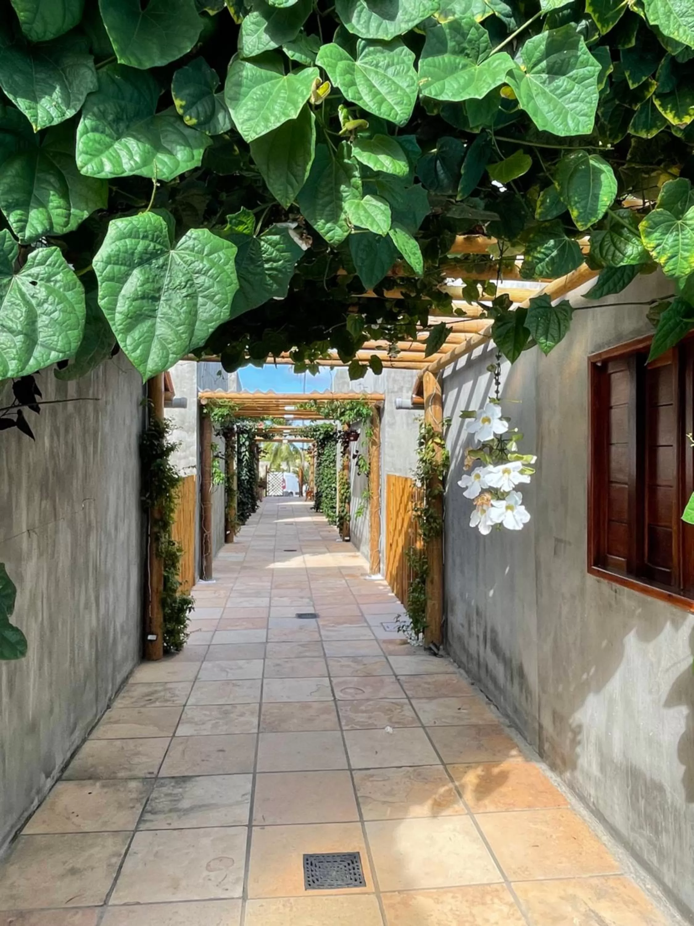 Garden in Chalé Palhano Beach