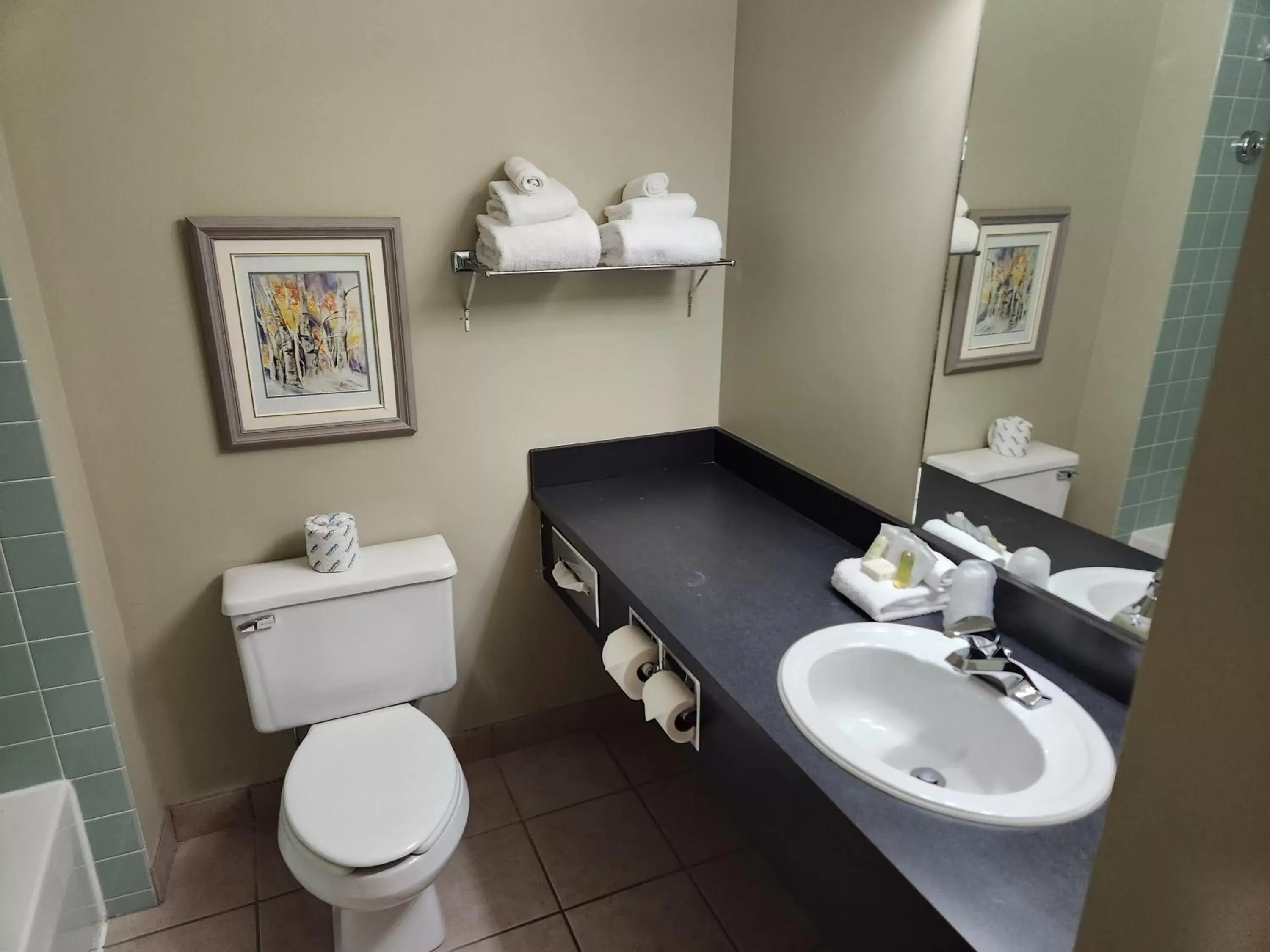 Toilet, Bathroom in Waterton Lakes Lodge Resort