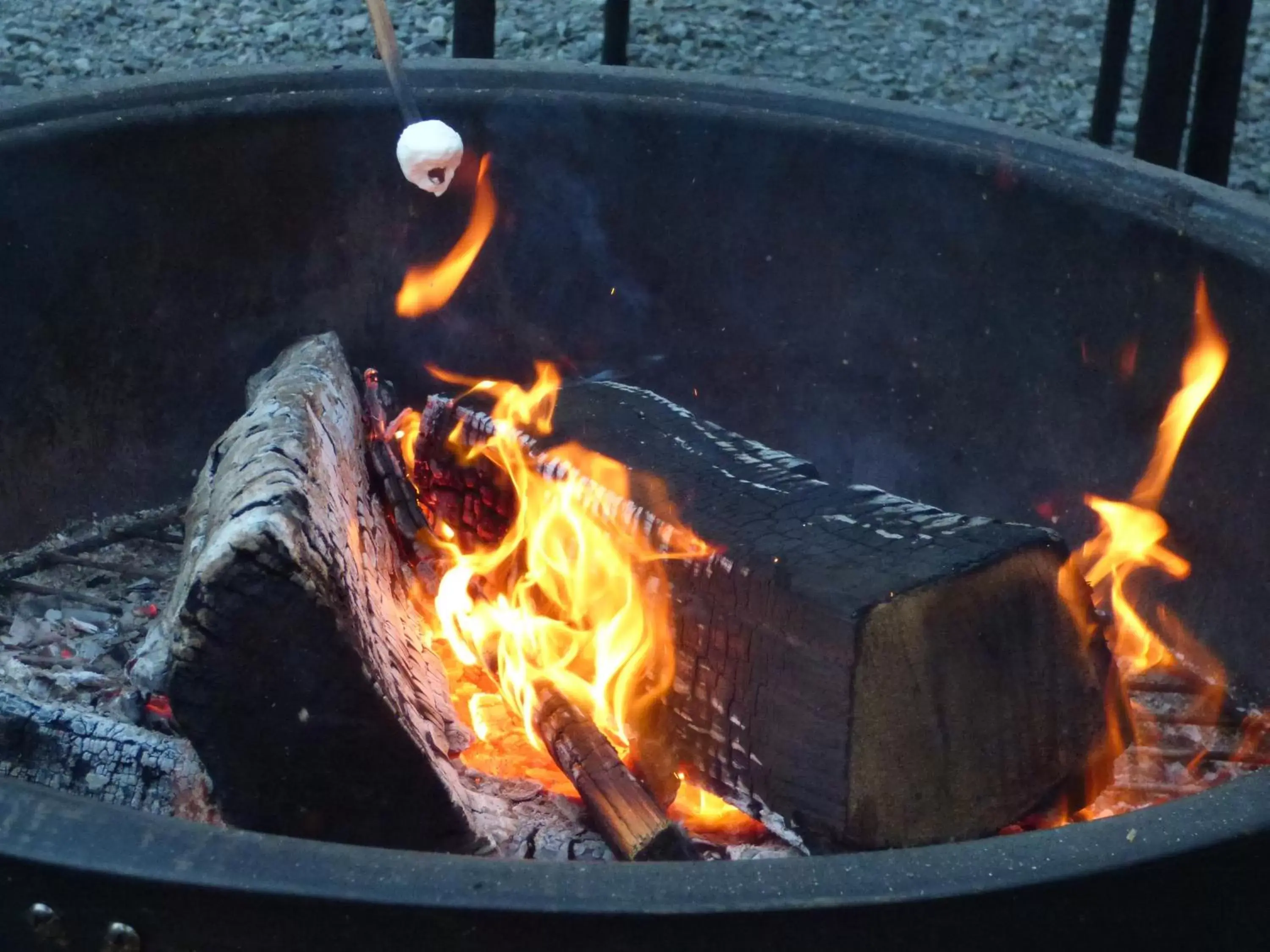 Area and facilities, BBQ Facilities in Sheltered Nook On Tillamook Bay